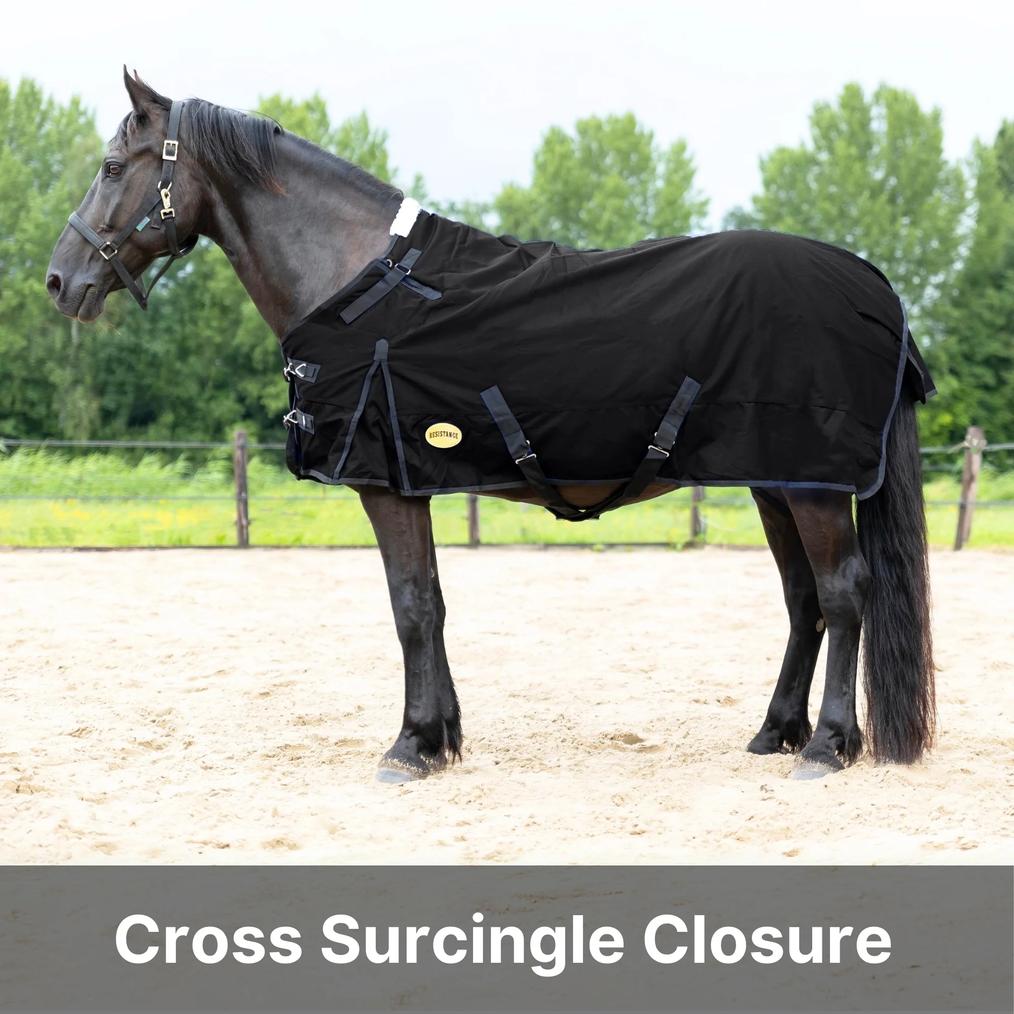 RESISTANCE Premium 1200D Waterproof Horse Turnout Blanket with 300g Polyfill & Adjustable Buckle Closure