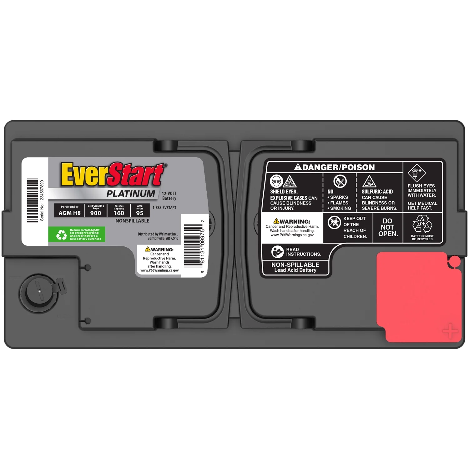 EverStart Platinum BOXED AGM Battery, Group Size H8 / LN5 / 49 12 Volt, 900 CCA - Image 5