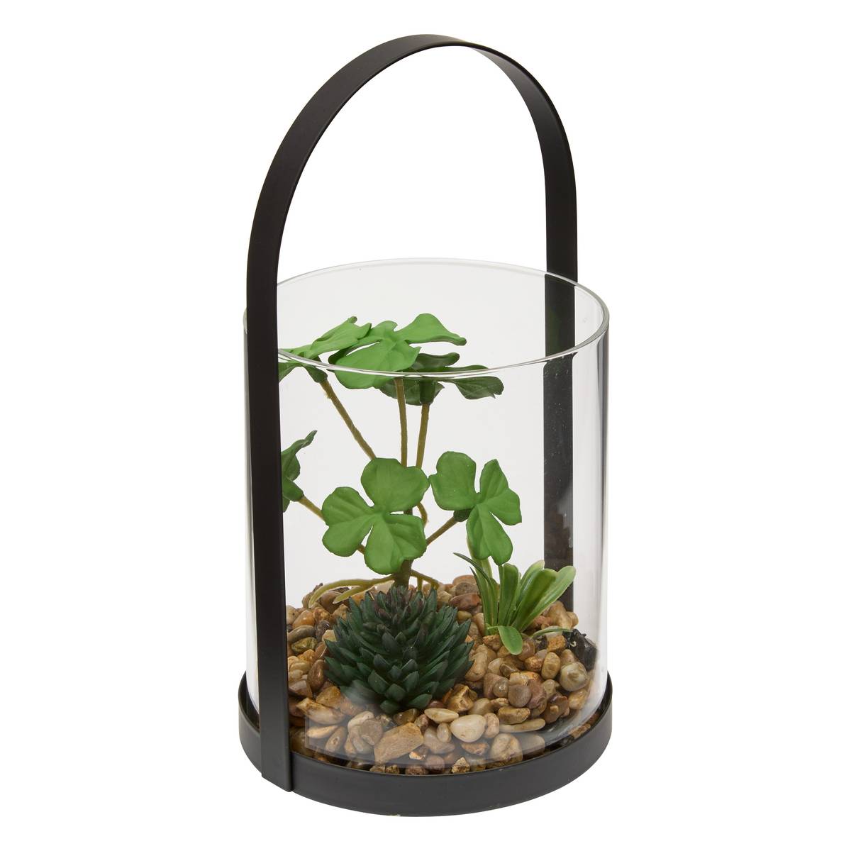 Terrarium "Wilo" 11x10 cm