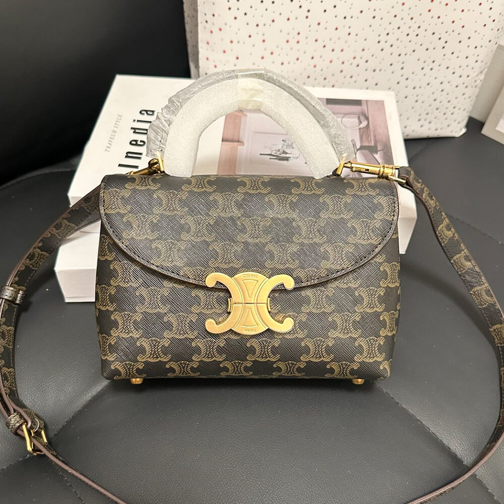 Celine Teen Nino Bag in Triomphe Canvas