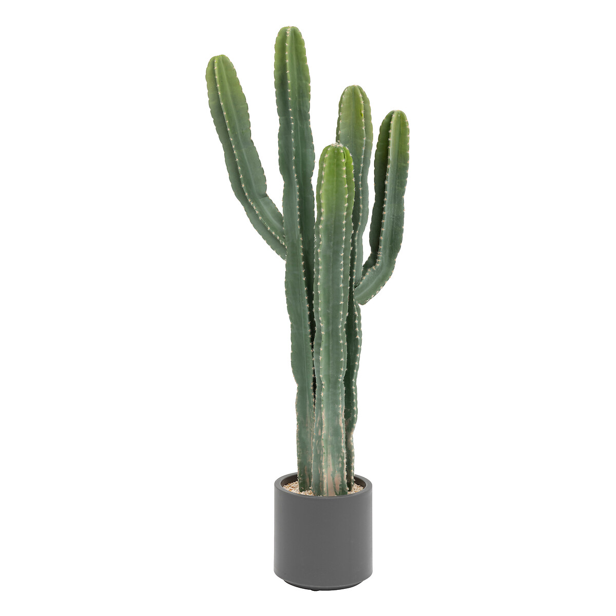 "Exotic Panama" Cactus Plastic pot, H.117 cm