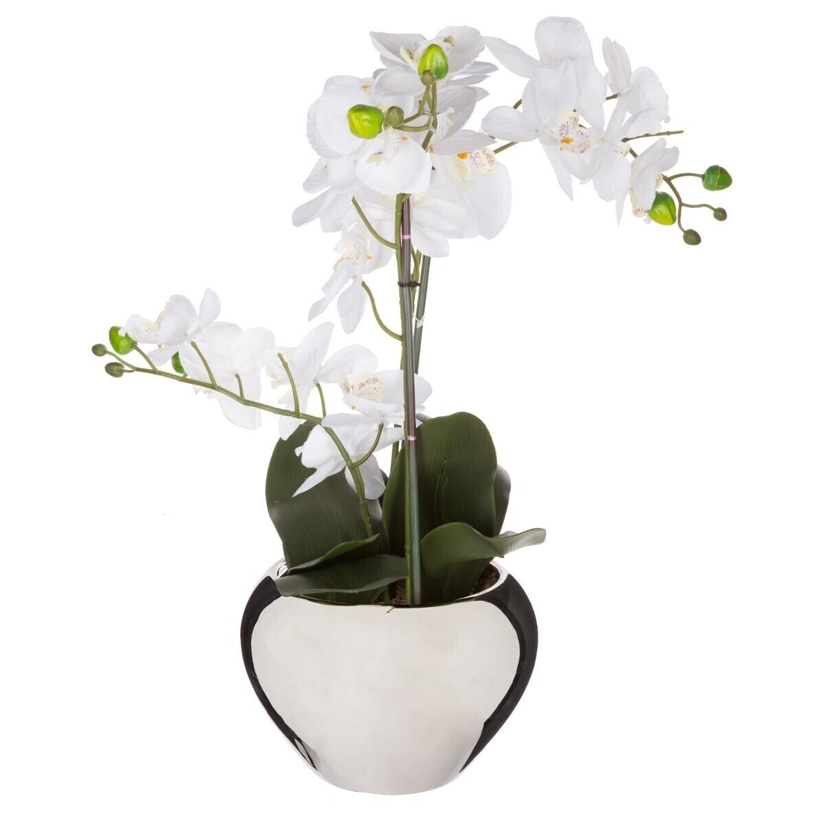Artificial orchid Ceramic vase, H.57 cm