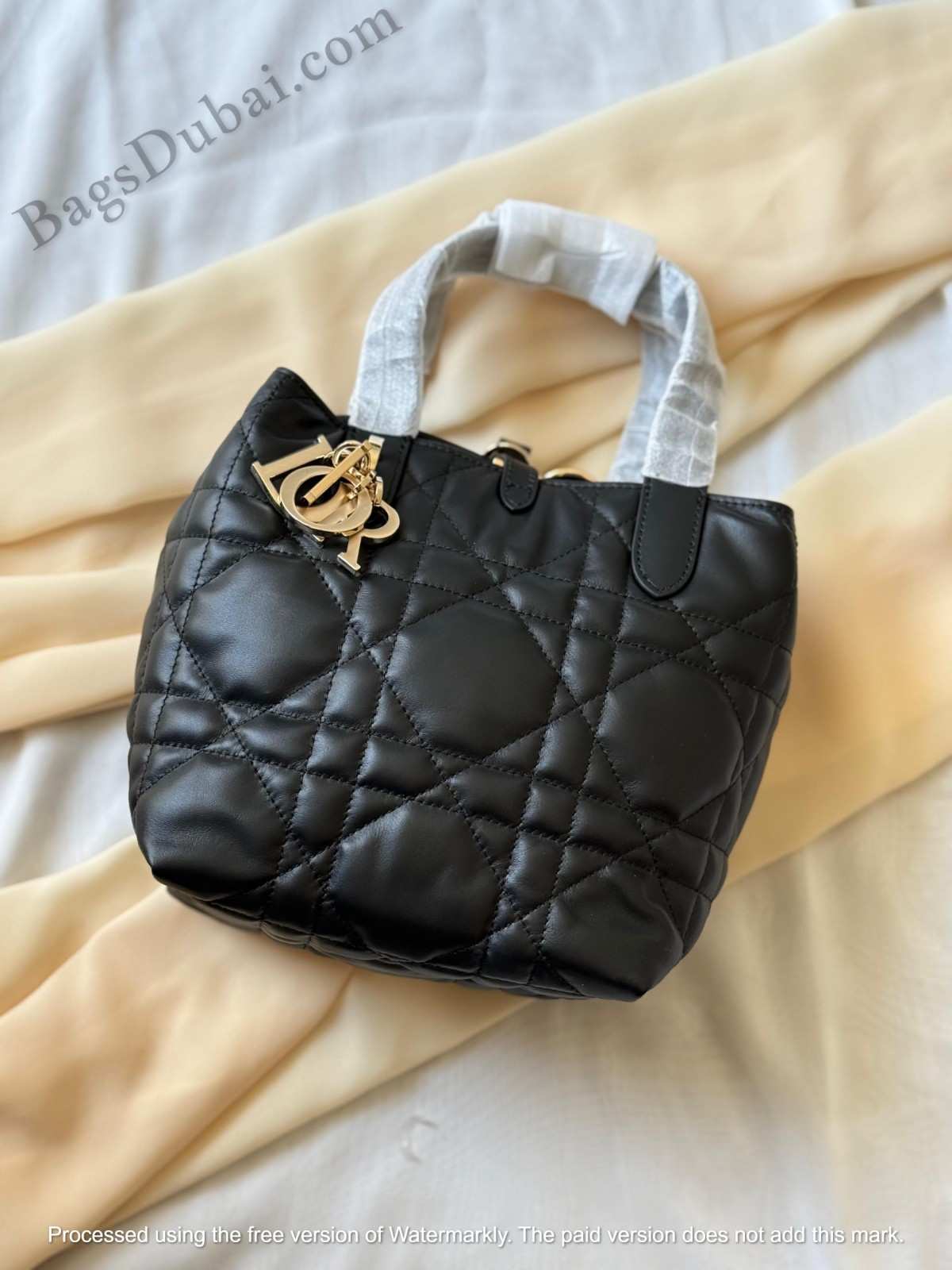 Dior Toujours Vertical Small Tote Bag In Dubai
