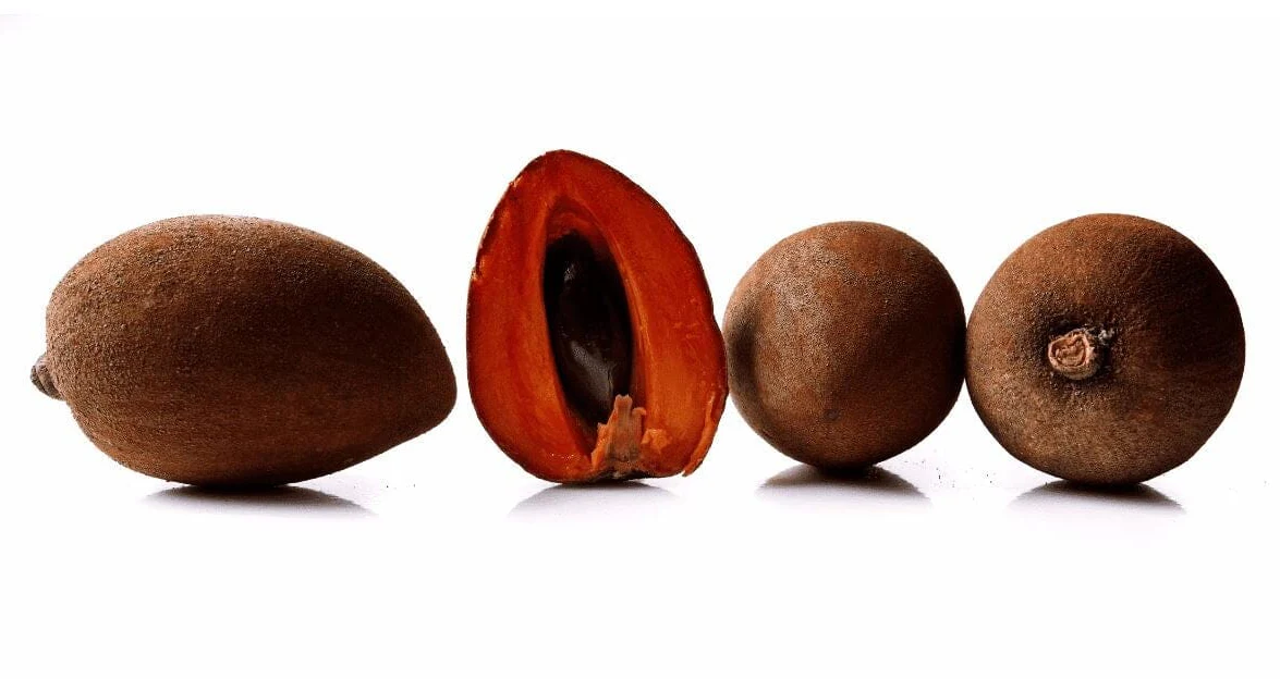Sapote Mamey – Creamy exotic fruit with sweet marzipan aroma