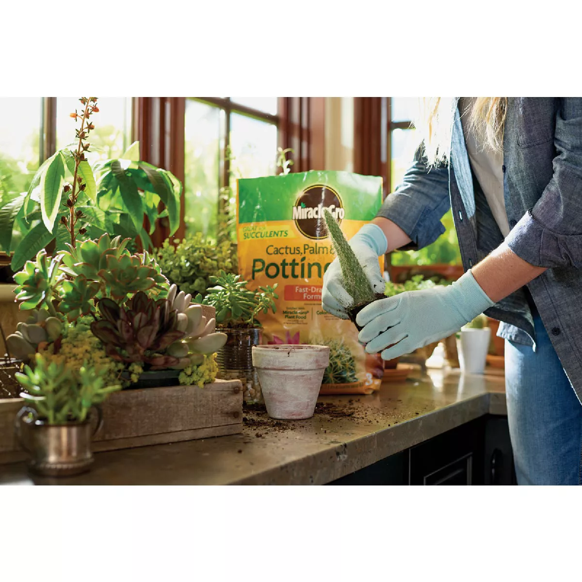 Miracle-Gro 8 Qt. Fast Draining Cactus, Palm & Citrus Potting Mix