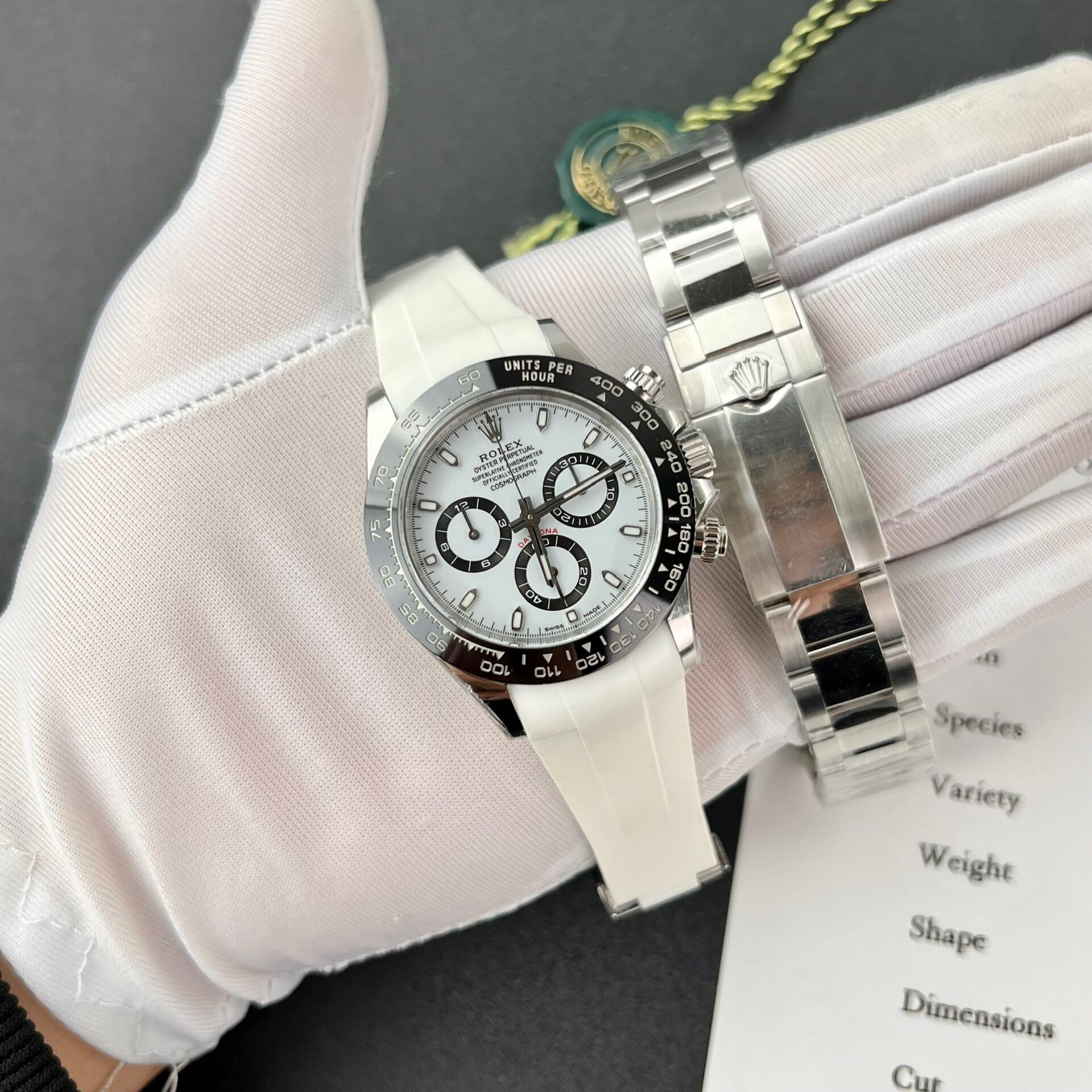 Rolex Daytona Panda 116509LN Best Replica Watch Clean Factory 40mm - Elite Watch Atelier