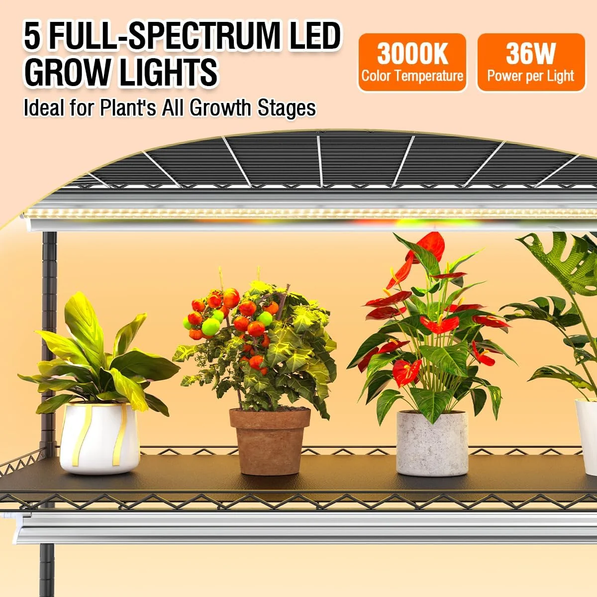 5-Tier Metal Indoor Greenhouse With Grow Lights And PVC Cover - 49 x 21.6 x 79 inch - Image 7 5-Tier Metal Indoor Greenhouse With Grow Lights And PVC Cover - 49 x 21.6 x 79 inch - Image 7