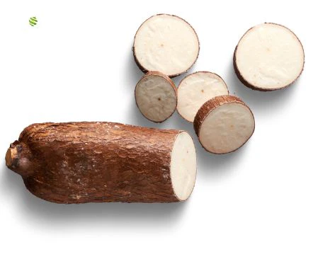 Cassava (manioc) – starchy root for world cuisine