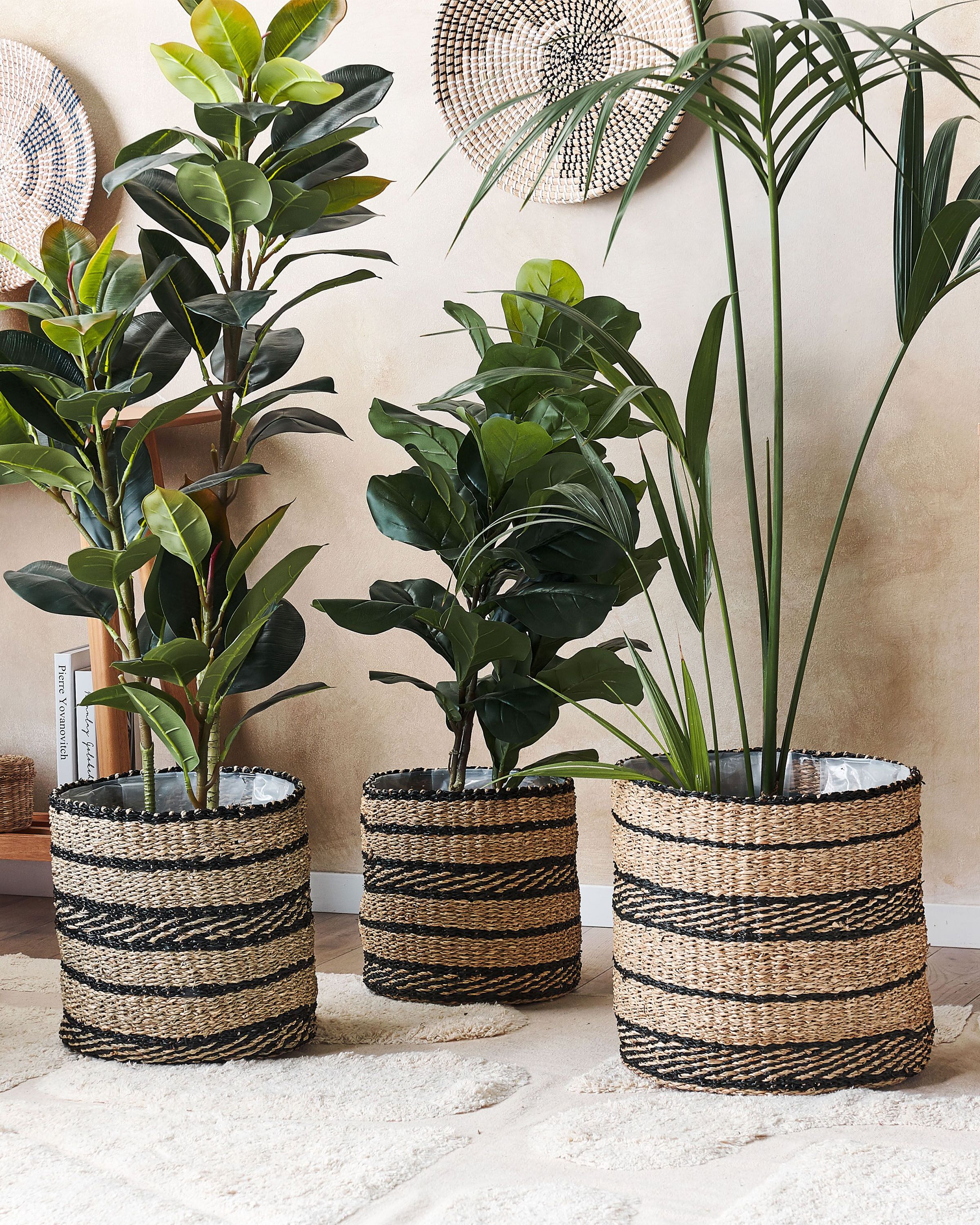 Set of 3 Plant Pots RASBORA Seagrass 35/31/27 cm Black