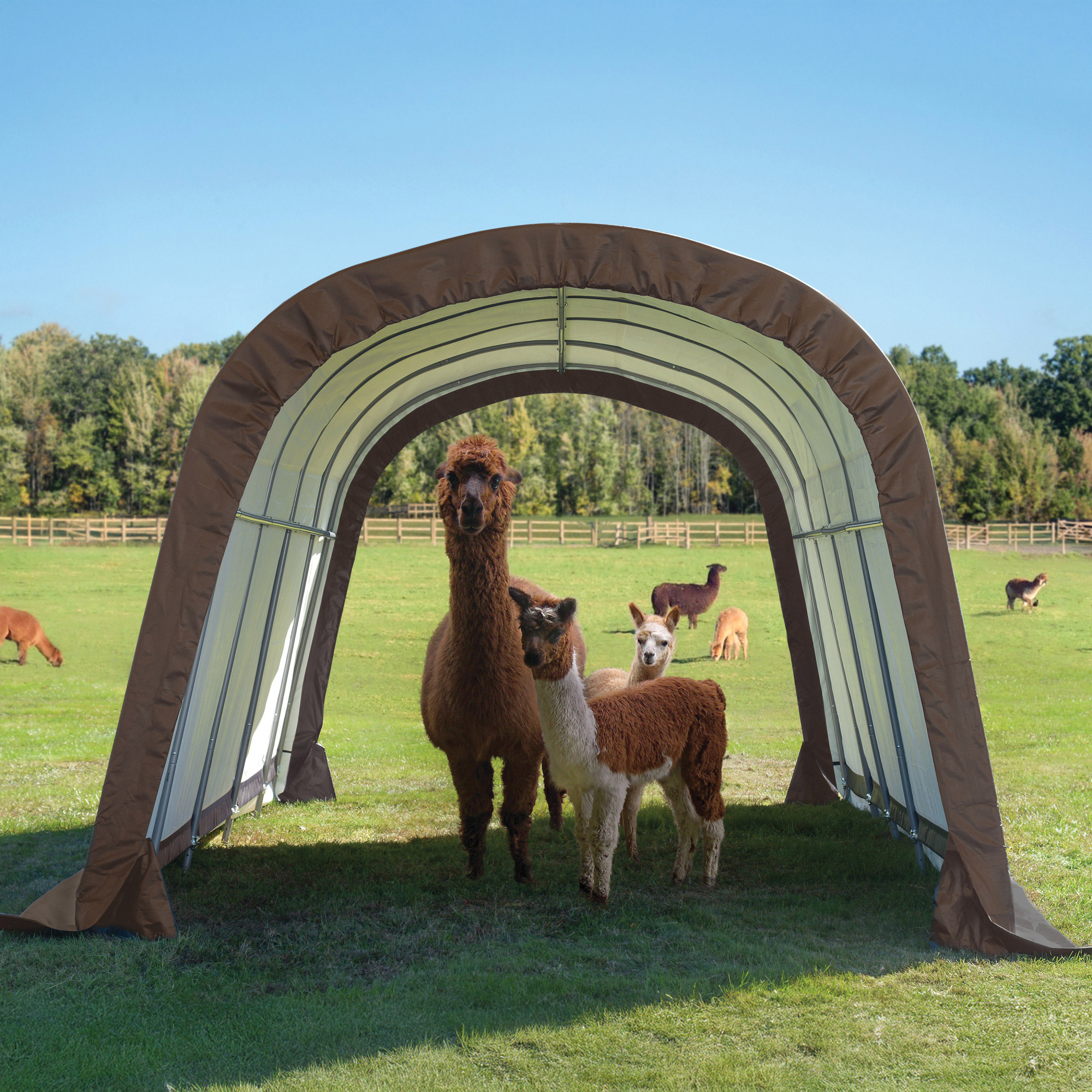 ShelterLogic Run-in Equine Shelter, 12' x 20 'x 8' - Image 2