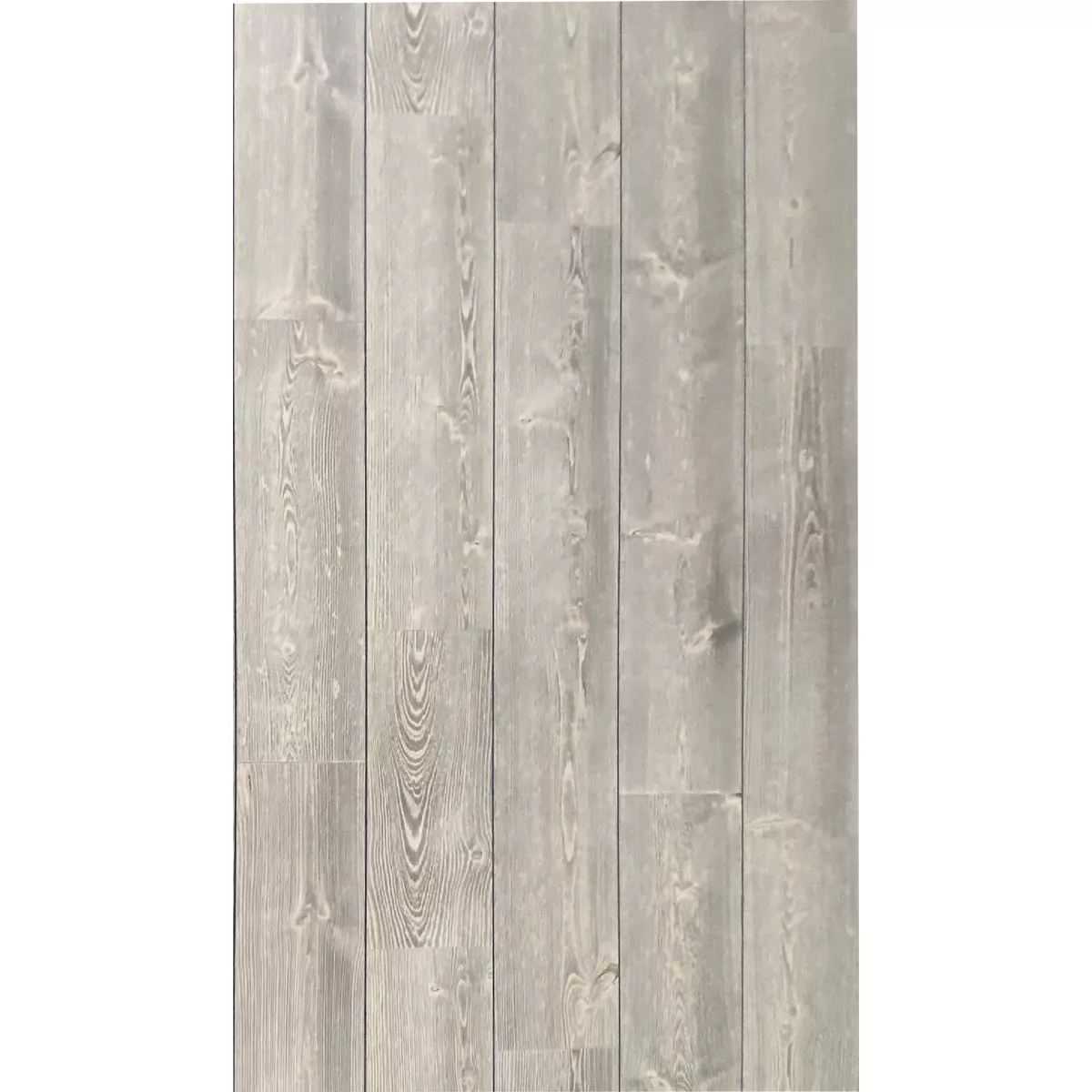 American Pacific 1/4 In. x 4 Ft. x 8 Ft. Coastal Ivory Shiplap Wall Paneling
