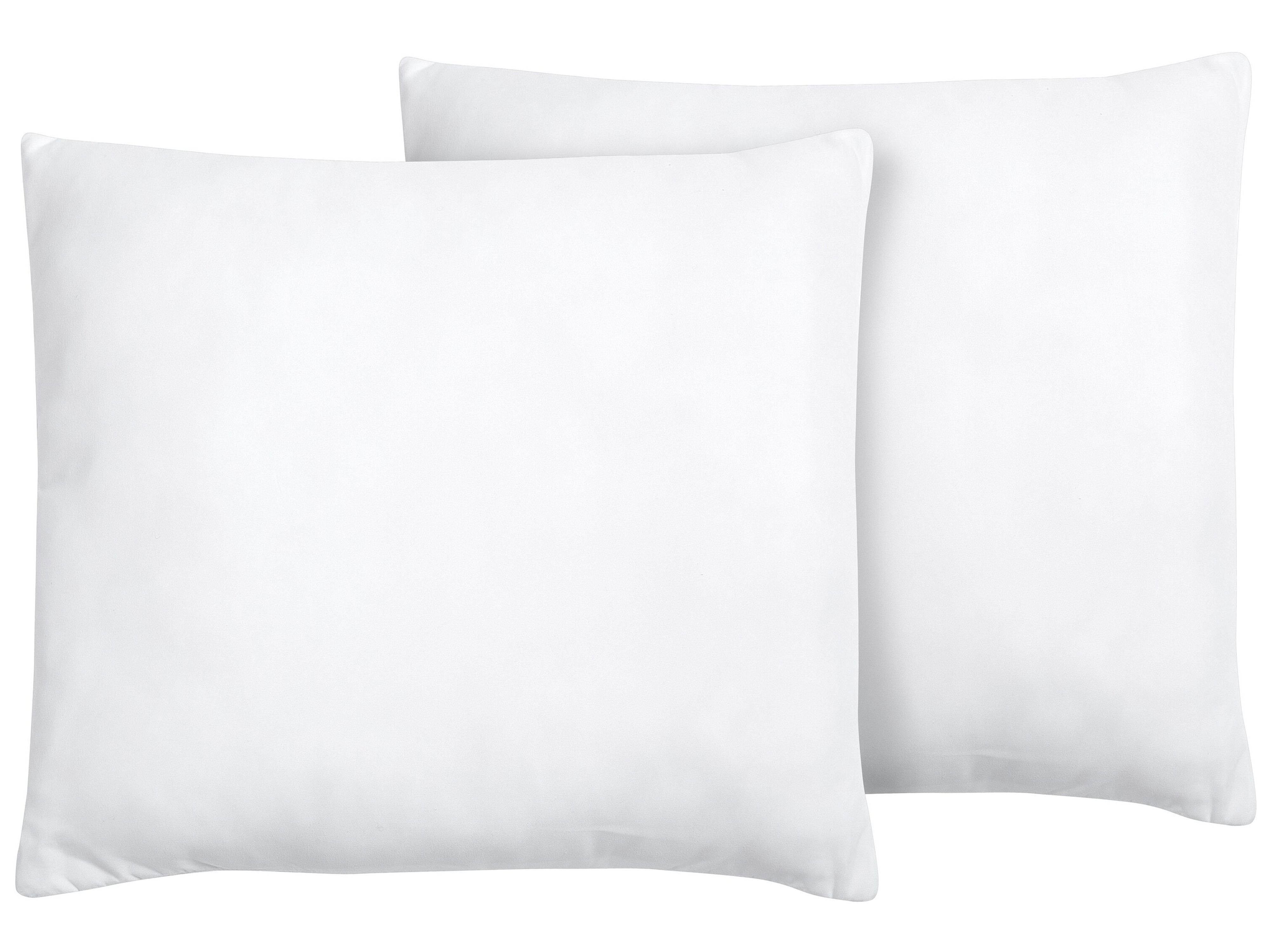 Set of 2 Pillows ERRIGAL Low Microfibre 80 x 80 cm White
