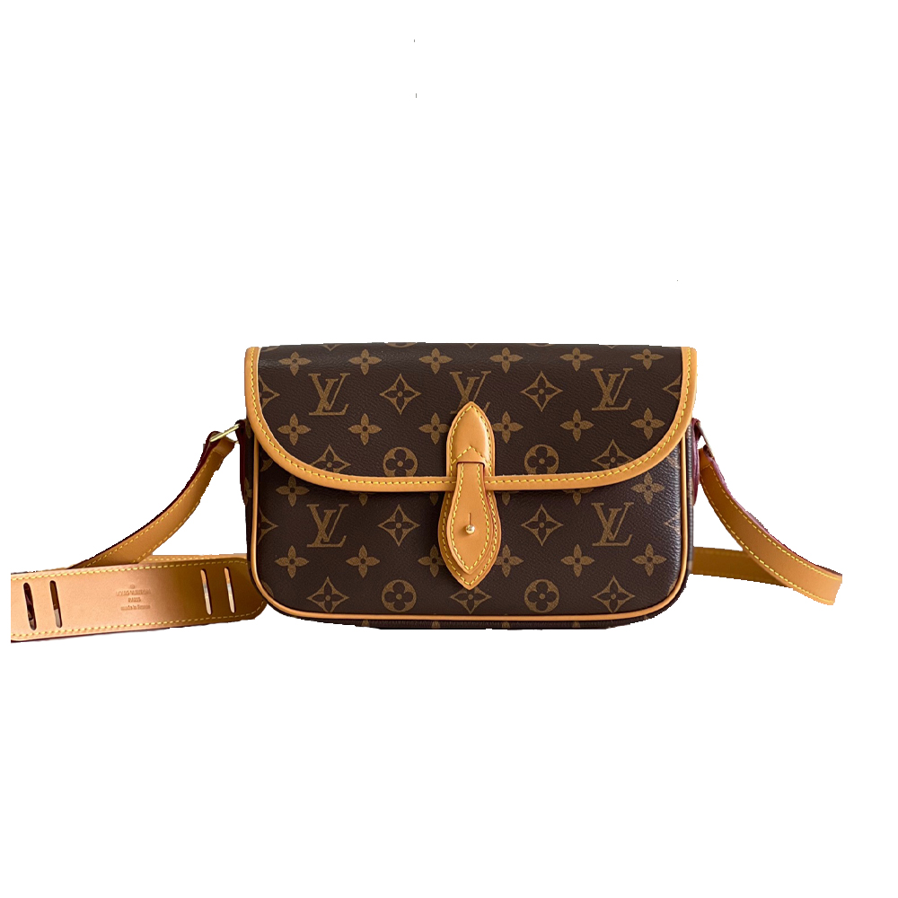 Louis Vuitton Gibeciere PM Shoulder Bag M422481:1High-quality replica