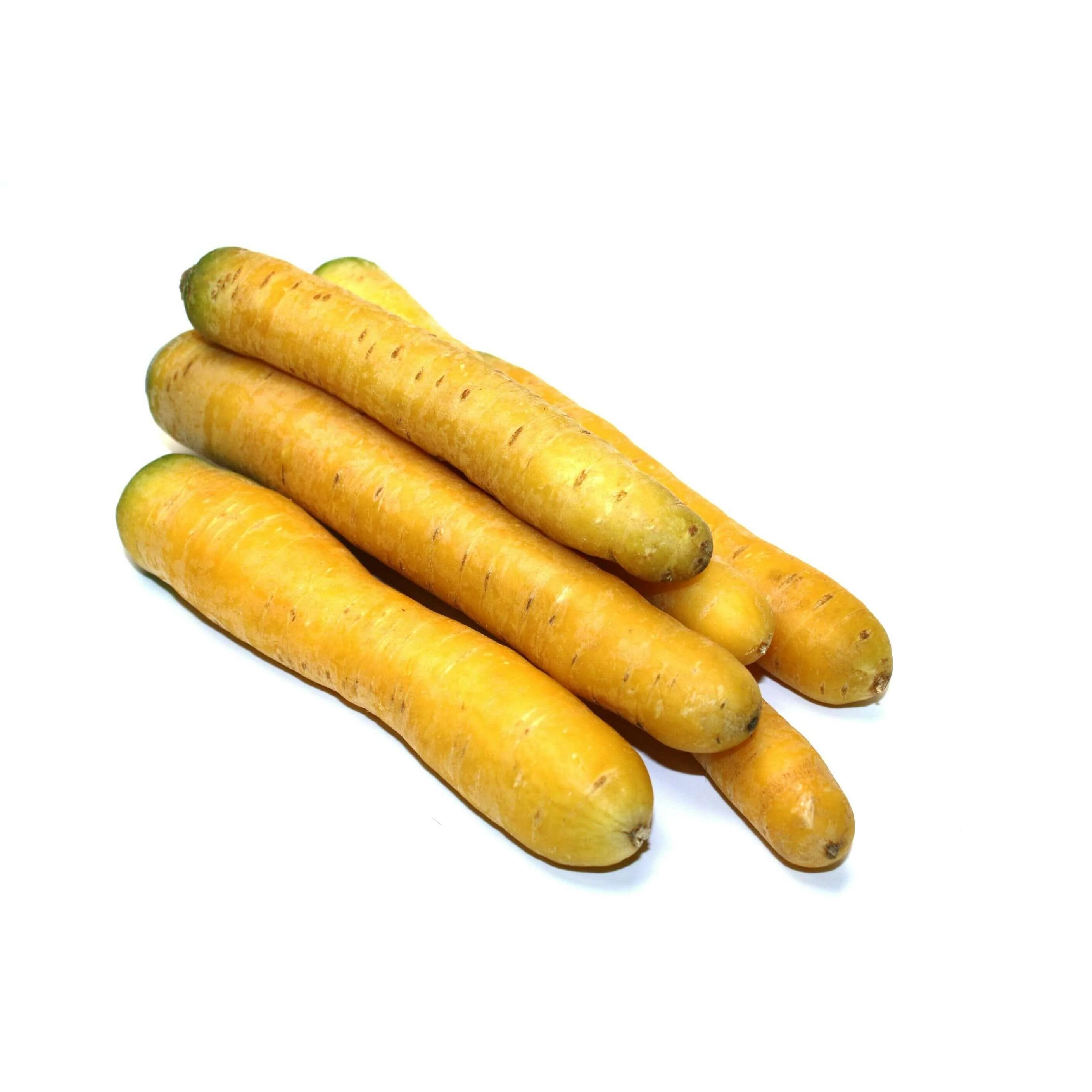 Yellow carrots – mildly sweet root vegetables for color variety