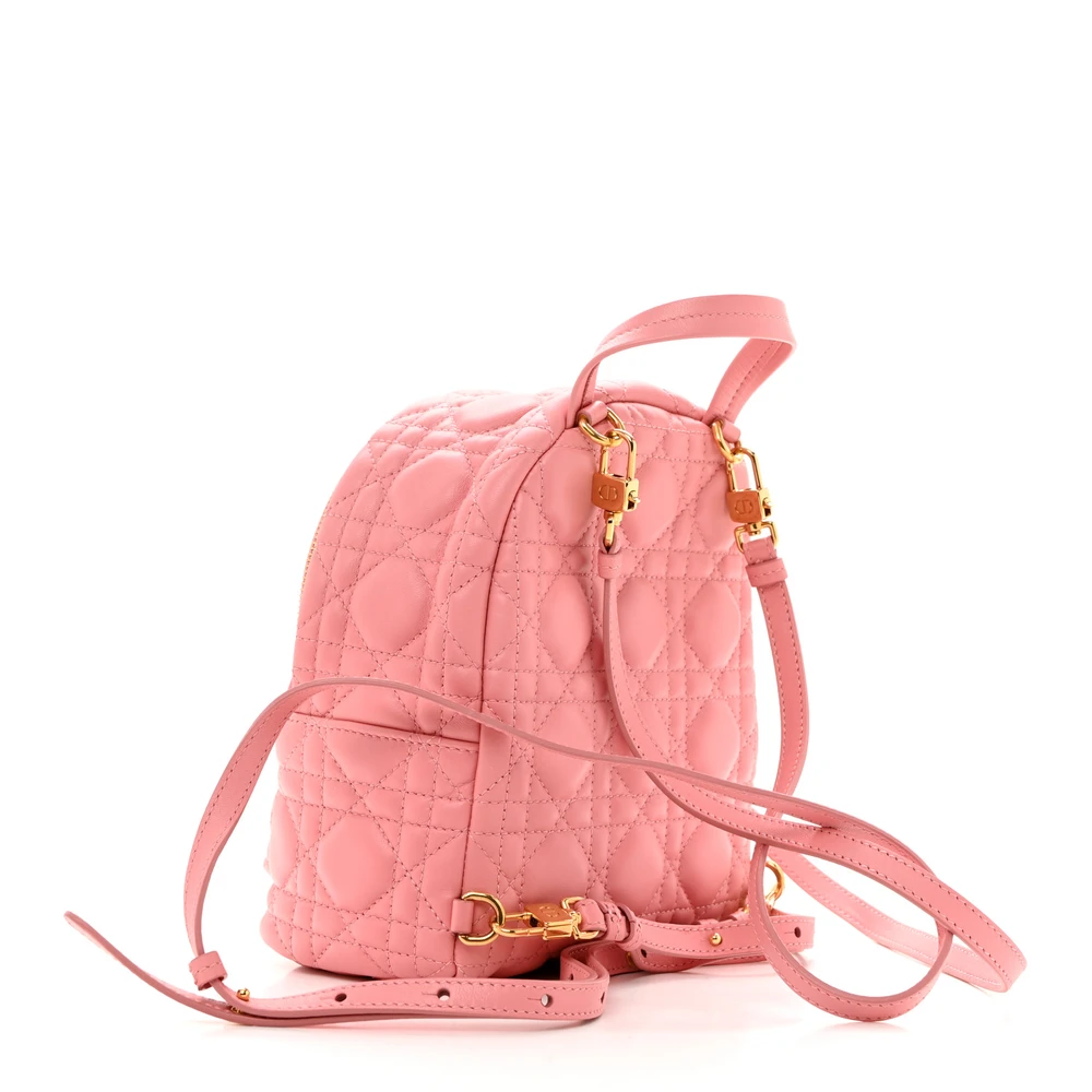 Mirror Quality Dior Peach Blossom Mini Backpack Replica1:1High-quality replica