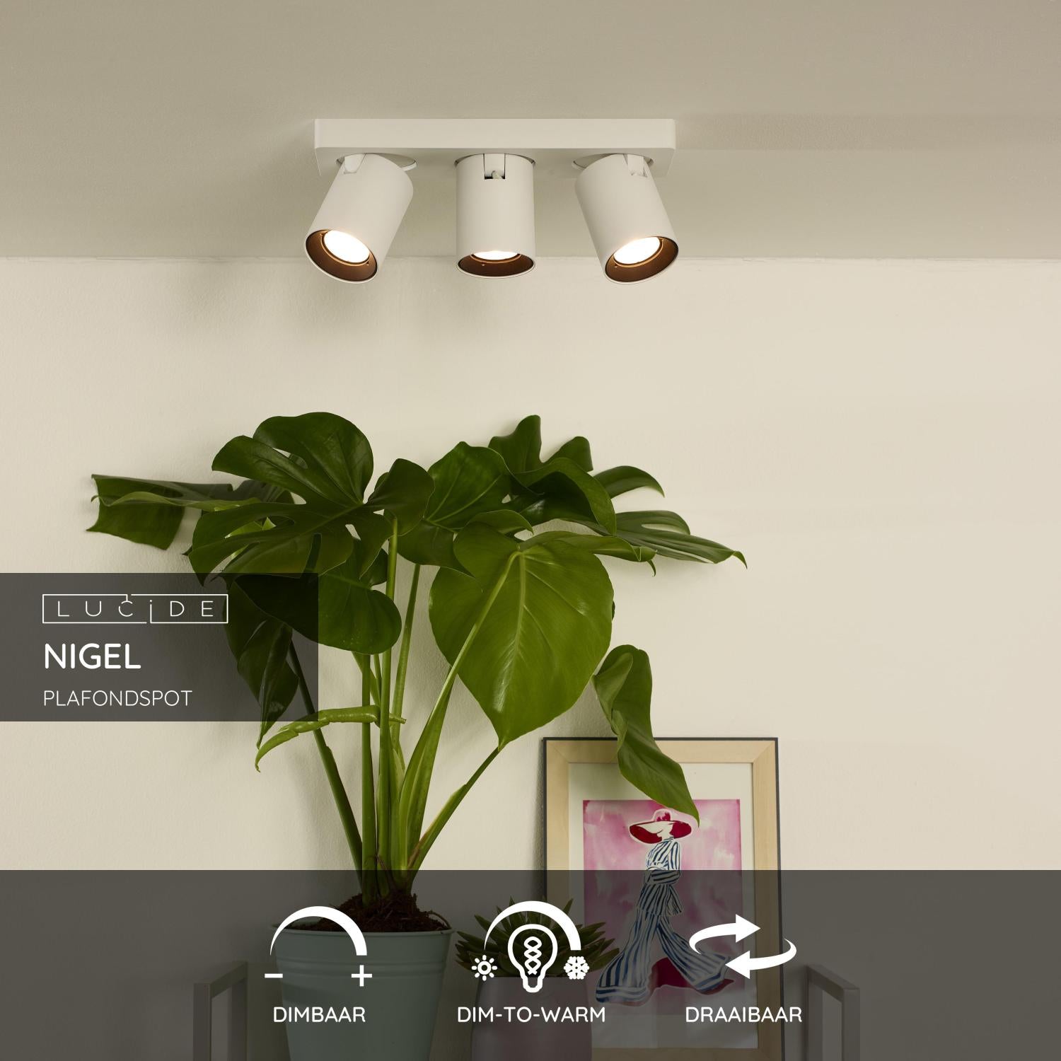 Lucide NIGEL Plafondspot - Wit