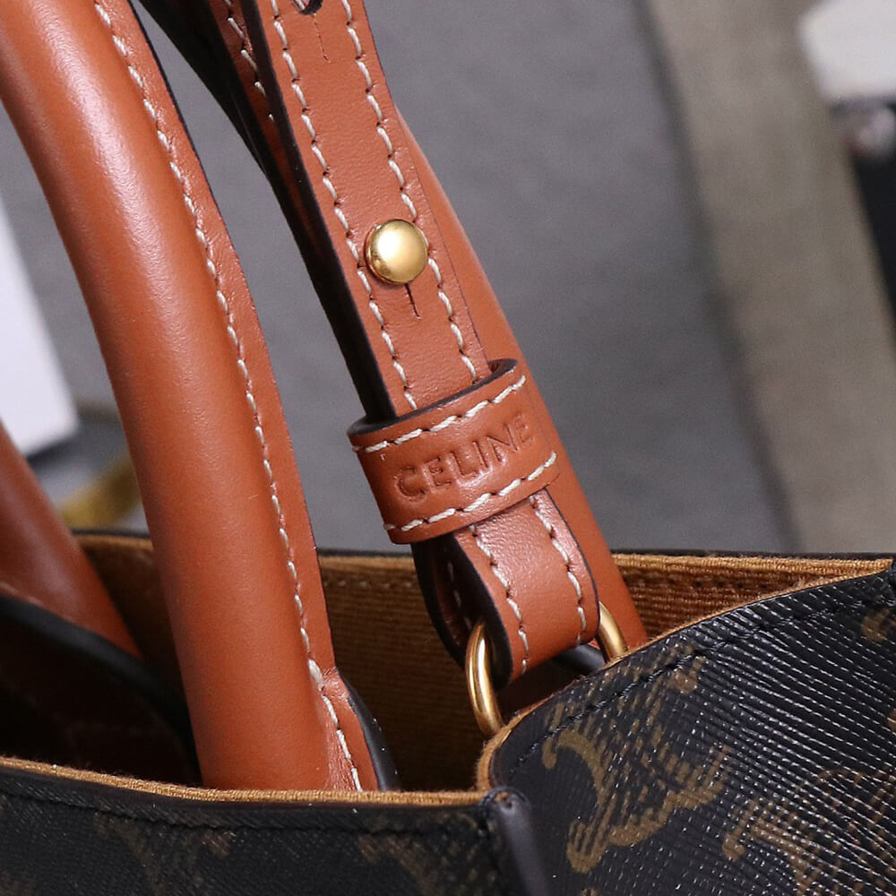 CELINE Mini Vertical Cabas IN Triomphe Canvas with Celine print1:1High-quality replica