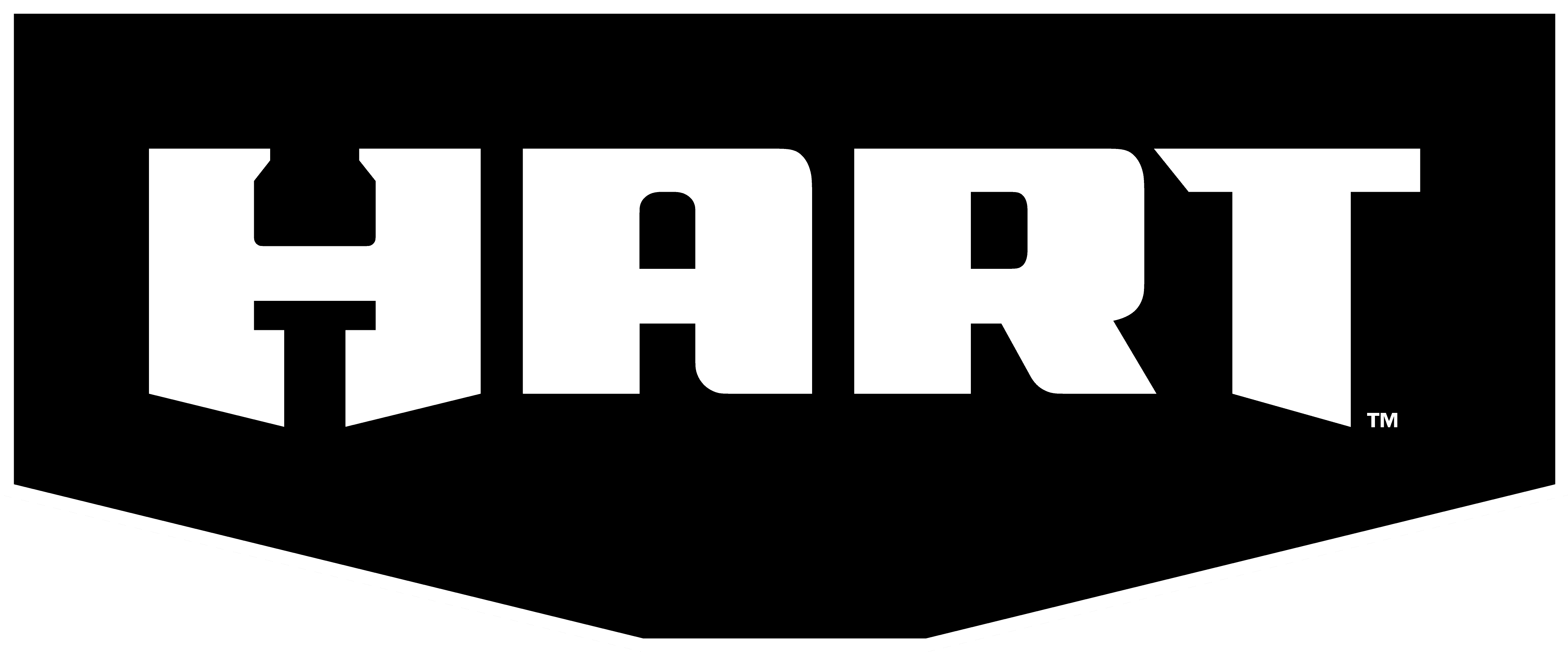 HART 20-Volt Cordless 4 Tool Combo Kit - Image 8