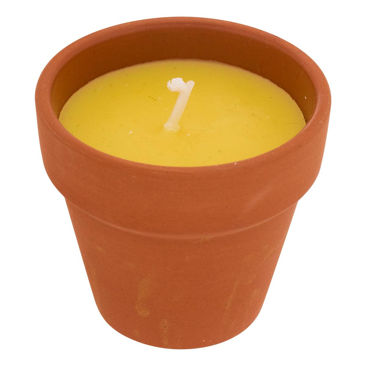 Scented Candle "Terry" Fruity Scent, Lemongrass, 40g