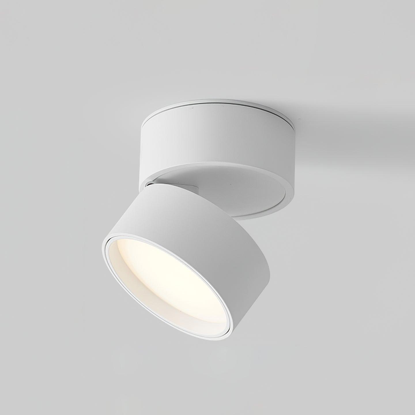 VerstelGloed - Plafondlamp met Flexibele Lichtinstellingen