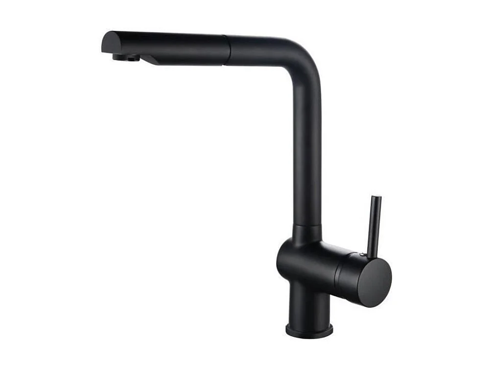ROUSSEAU Robinet mitigeur de cuisine Matsouko - Avec douchette - Noir