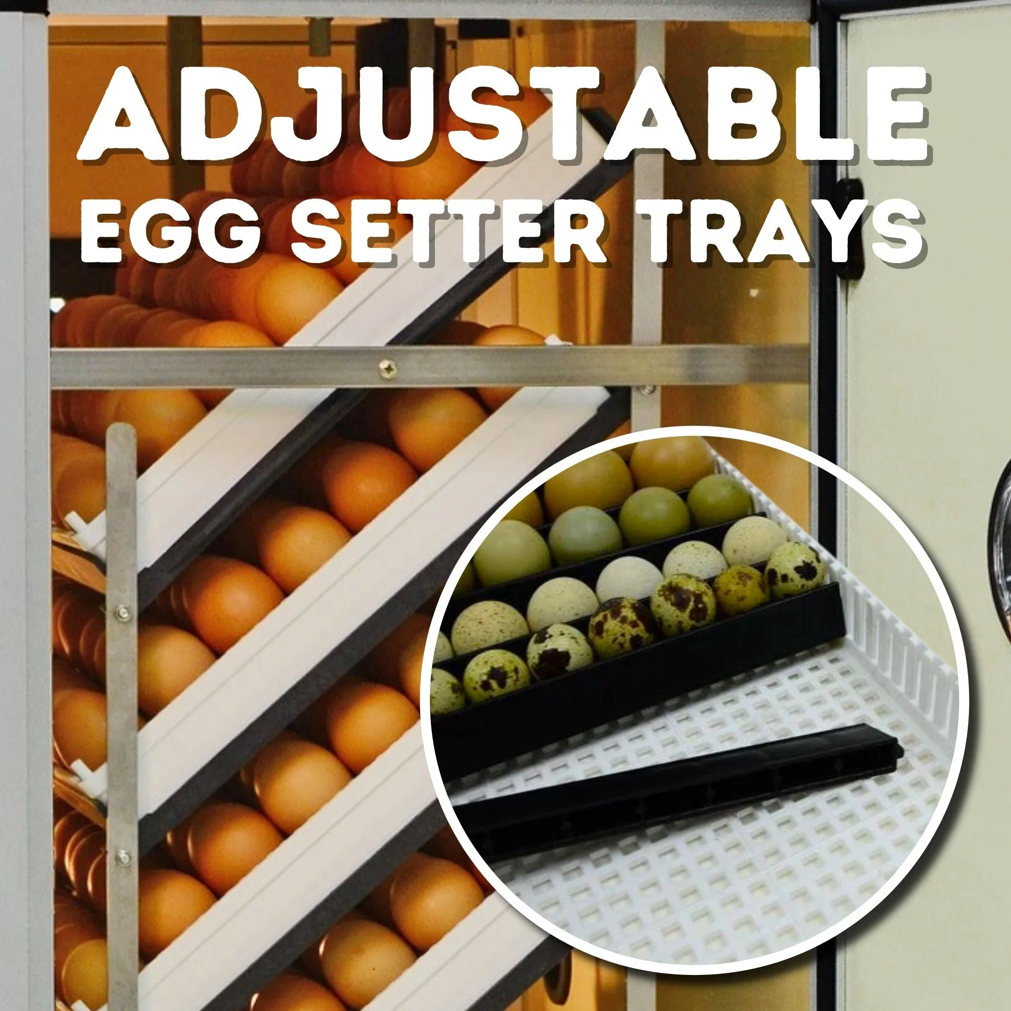 HB175C Egg Incubator with Hatcher Combo. Automatic Egg Turning and Humidity Control, Adjustable Egg Setter Trays, Perfect Poultry Incubator, Set and Forget Design. - Cimuka by Hatching Time - Image 9