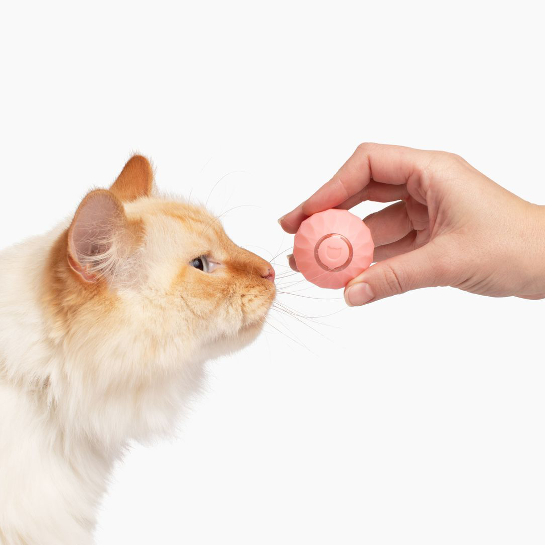 Interactief Rollend Kattenspeeltje met Drie Speelmodi – Stimuleert Jachtinstincten