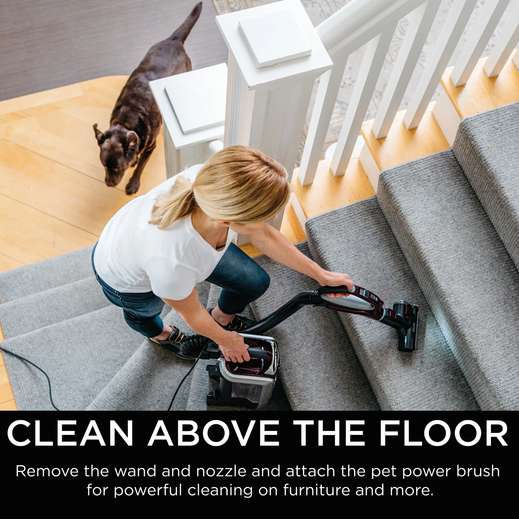 Shark® Rotator® Powered Lift-Away® TruePet® Upright Vacuum - Image 2