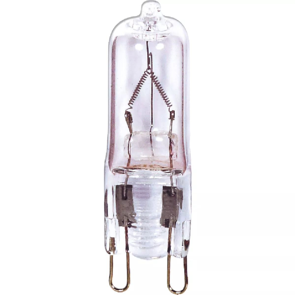 Halogen Light Bulbs