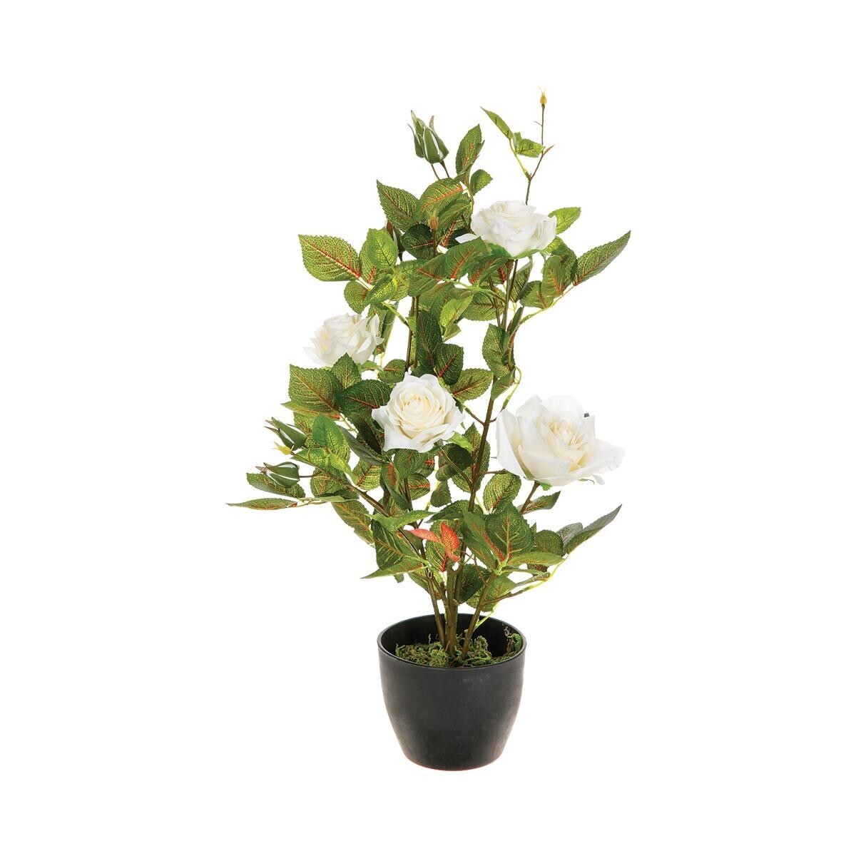 Artificial rose Cement pot, H.50 cm