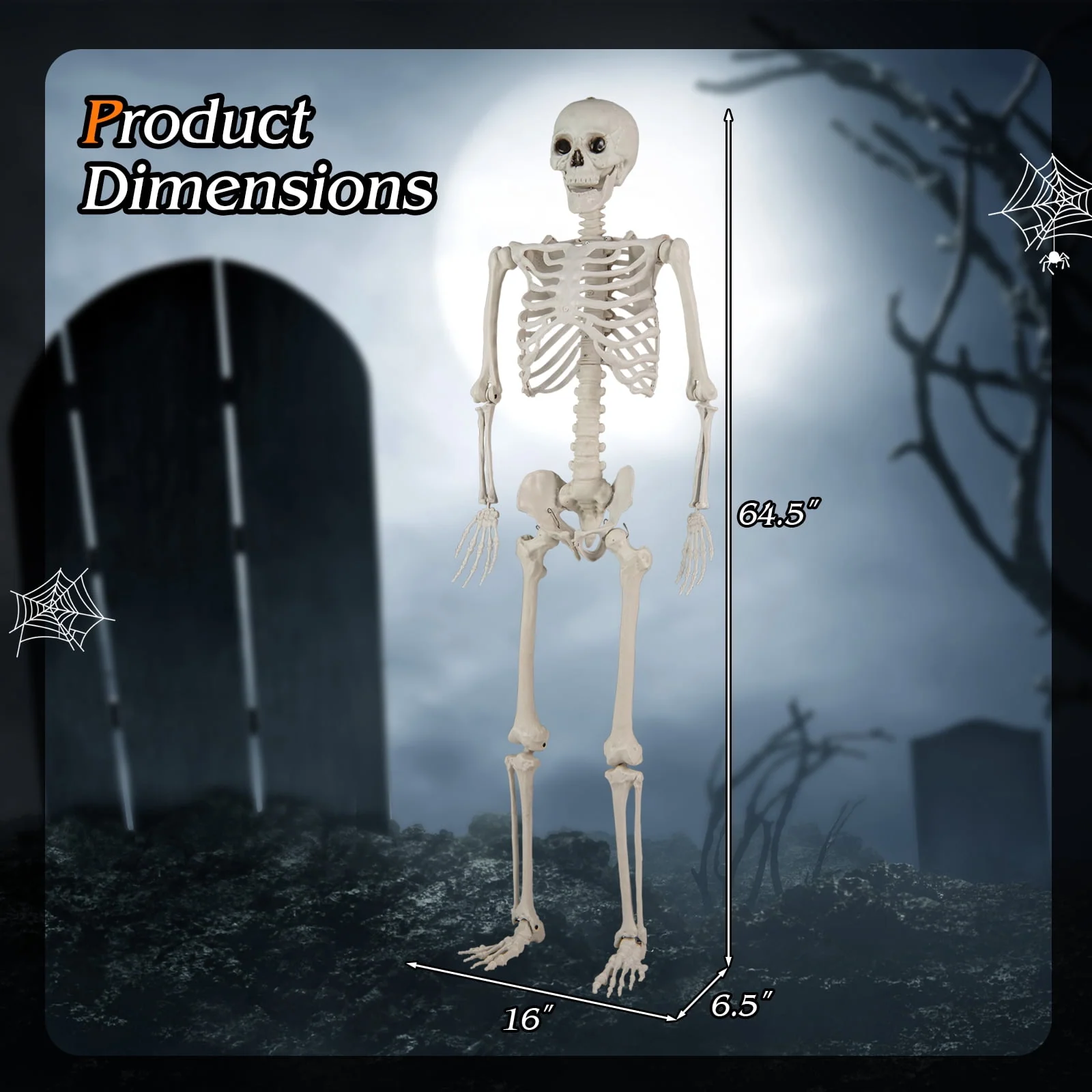 Costway 5.4 FT Halloween Skeleton Decoration Life Size Large Skeleton with Posable Joints 64.5 Inches Ivory White - Image 4 Costway 5.4 FT Halloween Skeleton Decoration Life Size Large Skeleton with Posable Joints 64.5 Inches Ivory White - Image 4