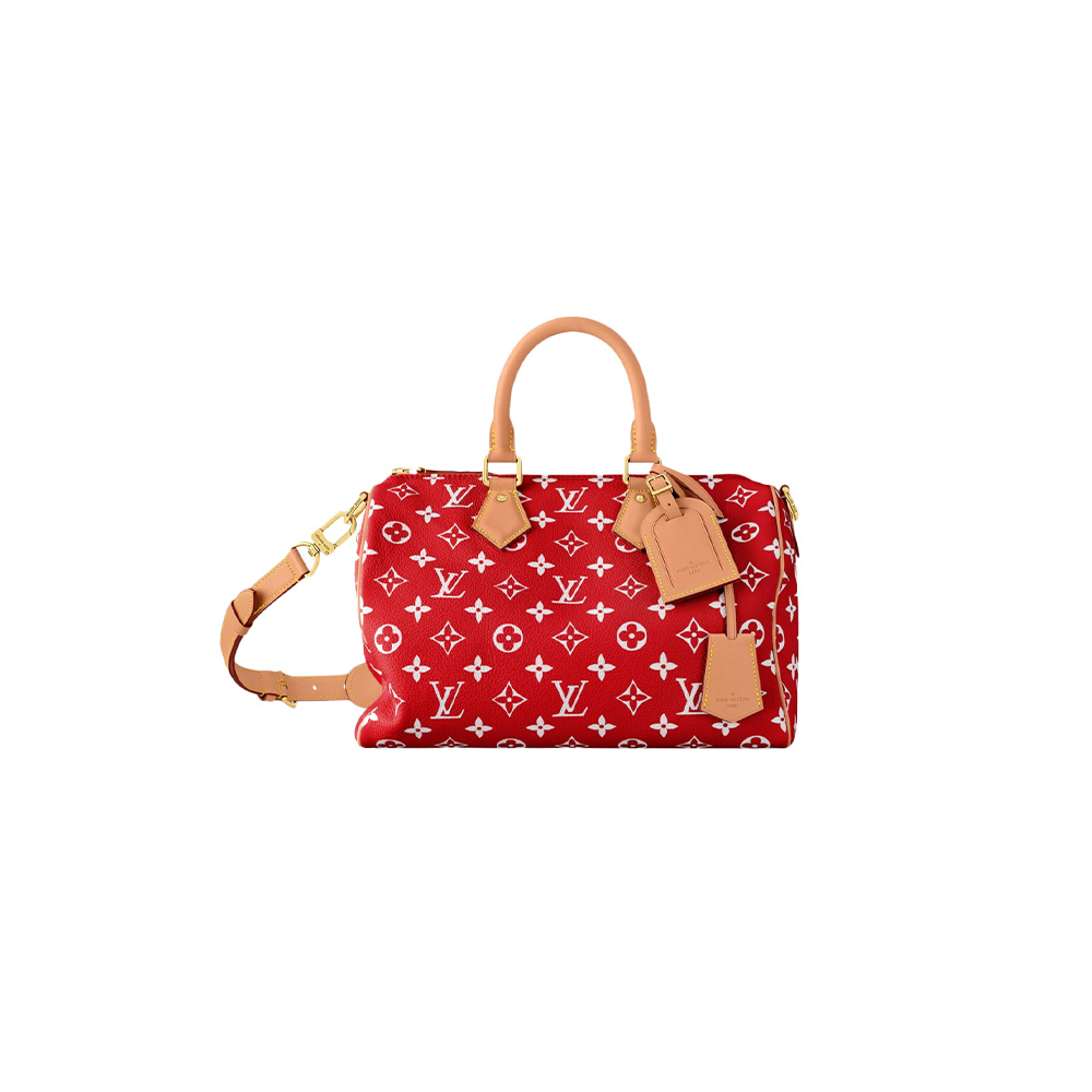 Louis Vuitton Speedy P9 Bandoulière 301:1High-quality replica