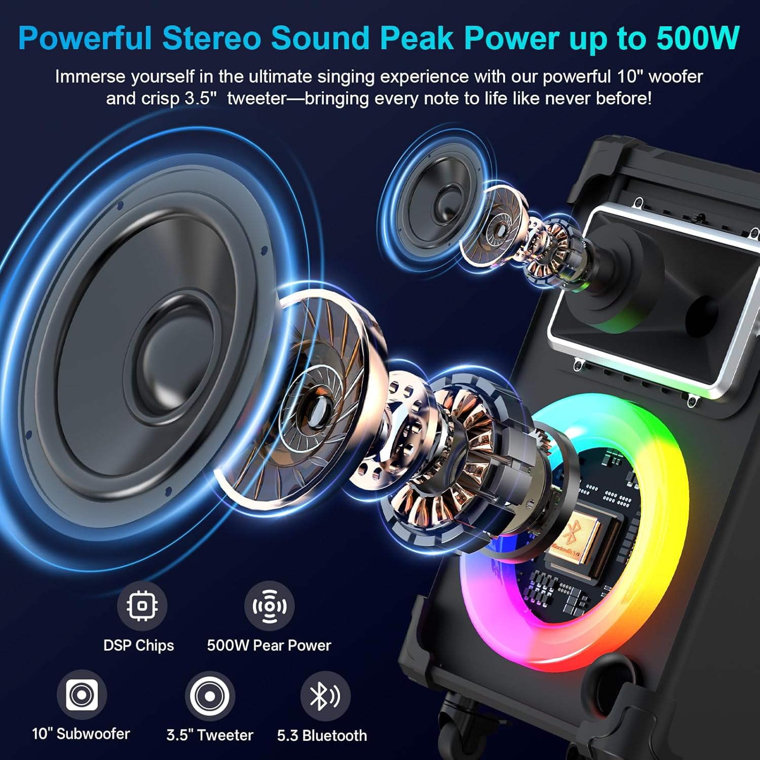 JYX Karaoke Machine with 2 Wireless Mics, 10