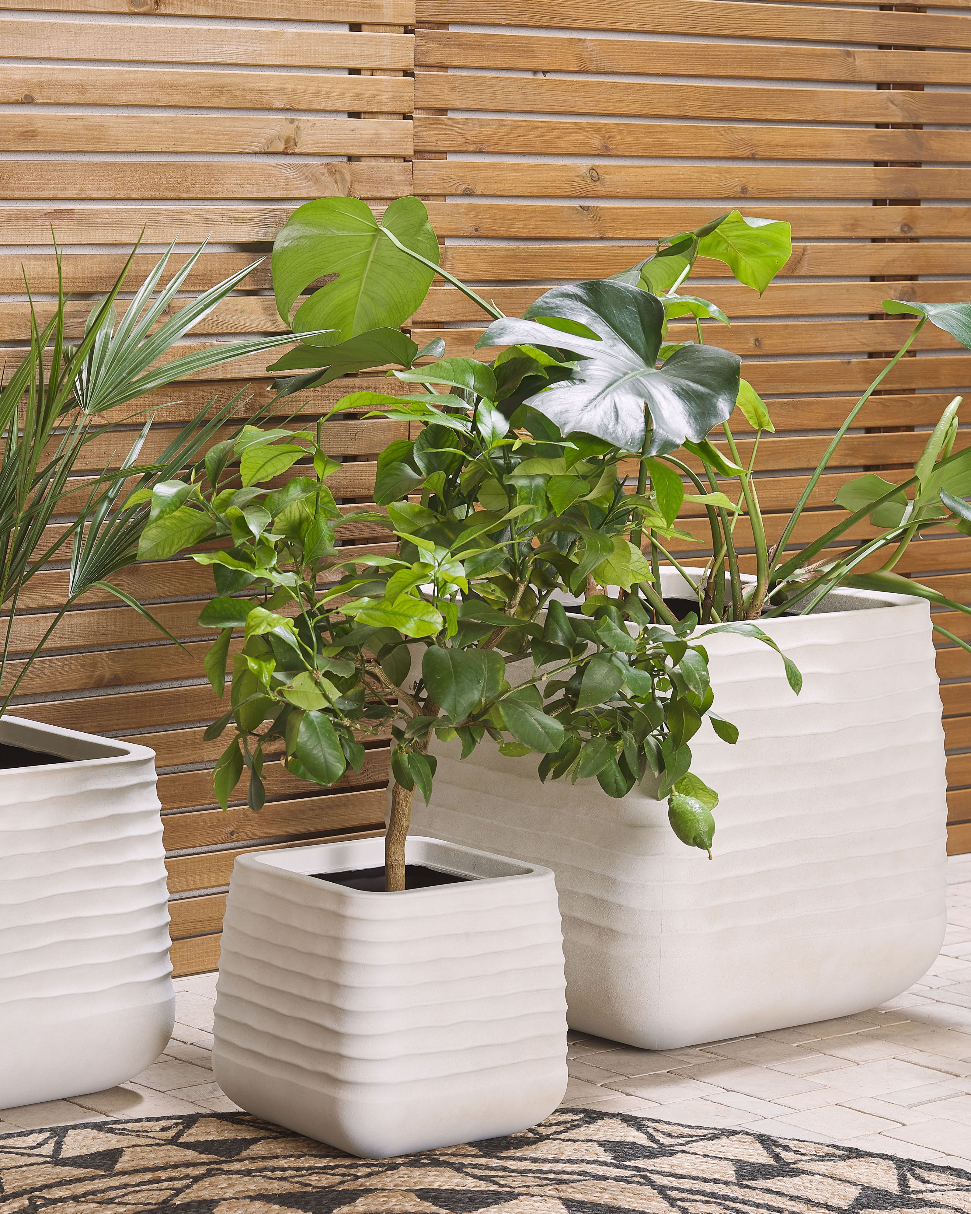 Plant Pot PARIKIA 50 cm Off-White