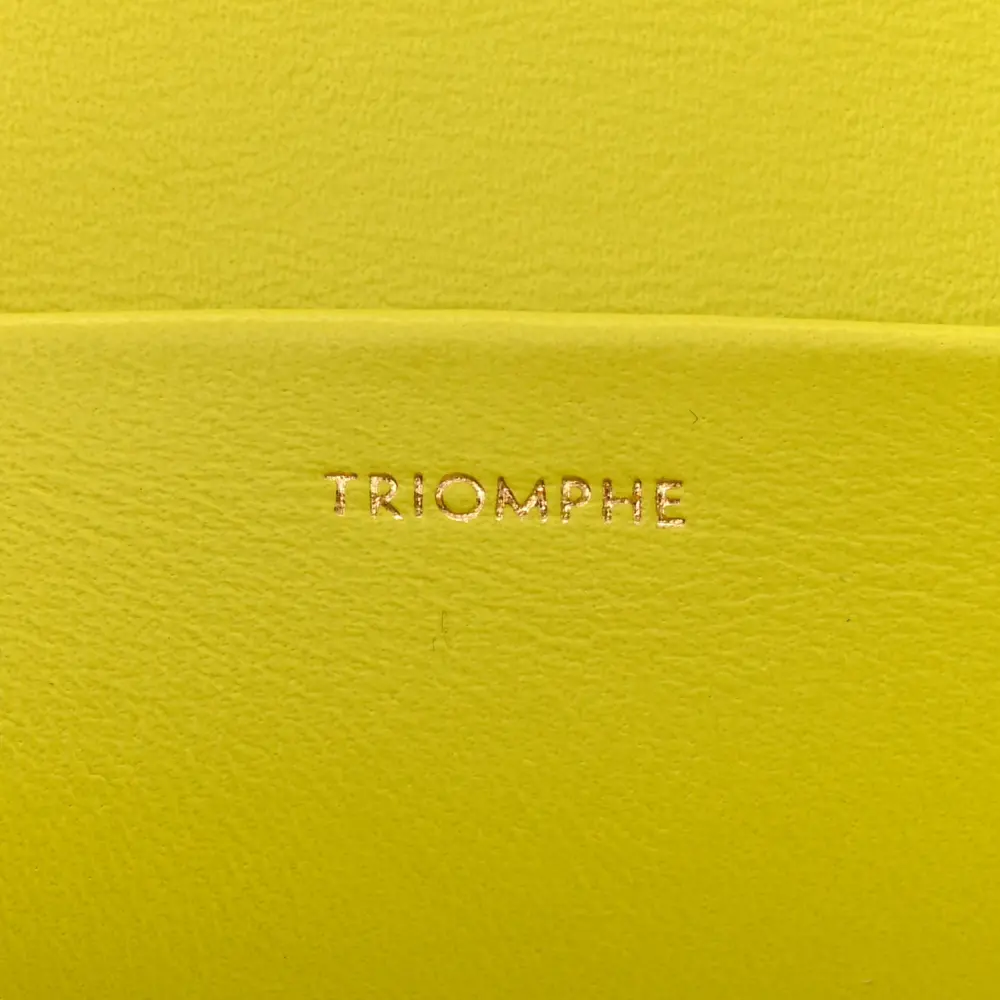 Superfake Celine Anis Triomphe Bag – Gold Hardware & Calfskin Leather1:1High-quality replica