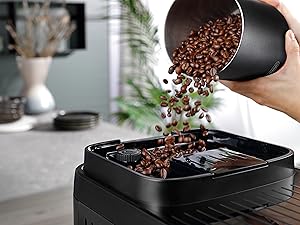 Magnifica Evo Next - Built-in Grinder