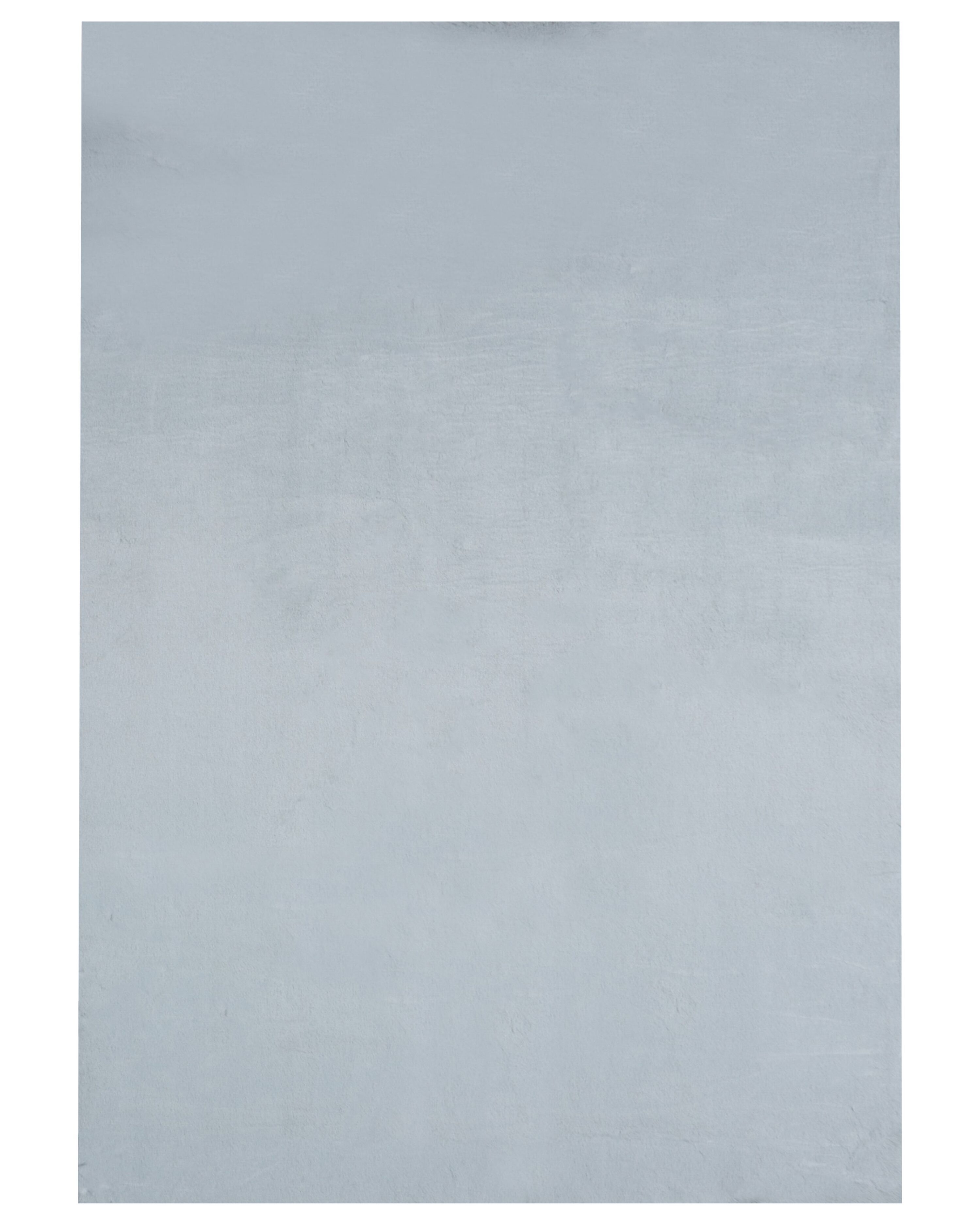 Faux Fur Rug MIRPUR Light Grey 160 x 230 cm