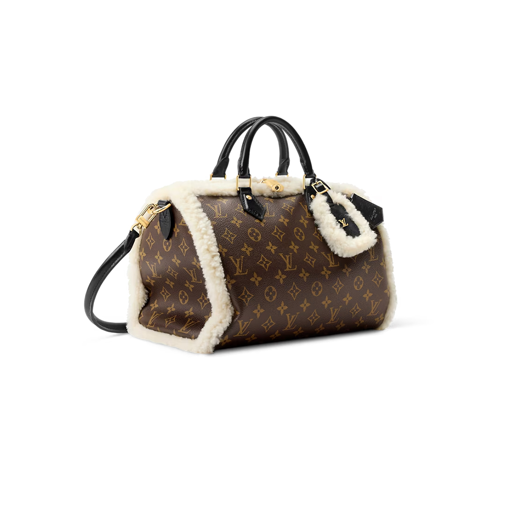 Louis Vuitton Speedy Soft 30 Teddy（10A Mirror Version）1:1High-quality replica