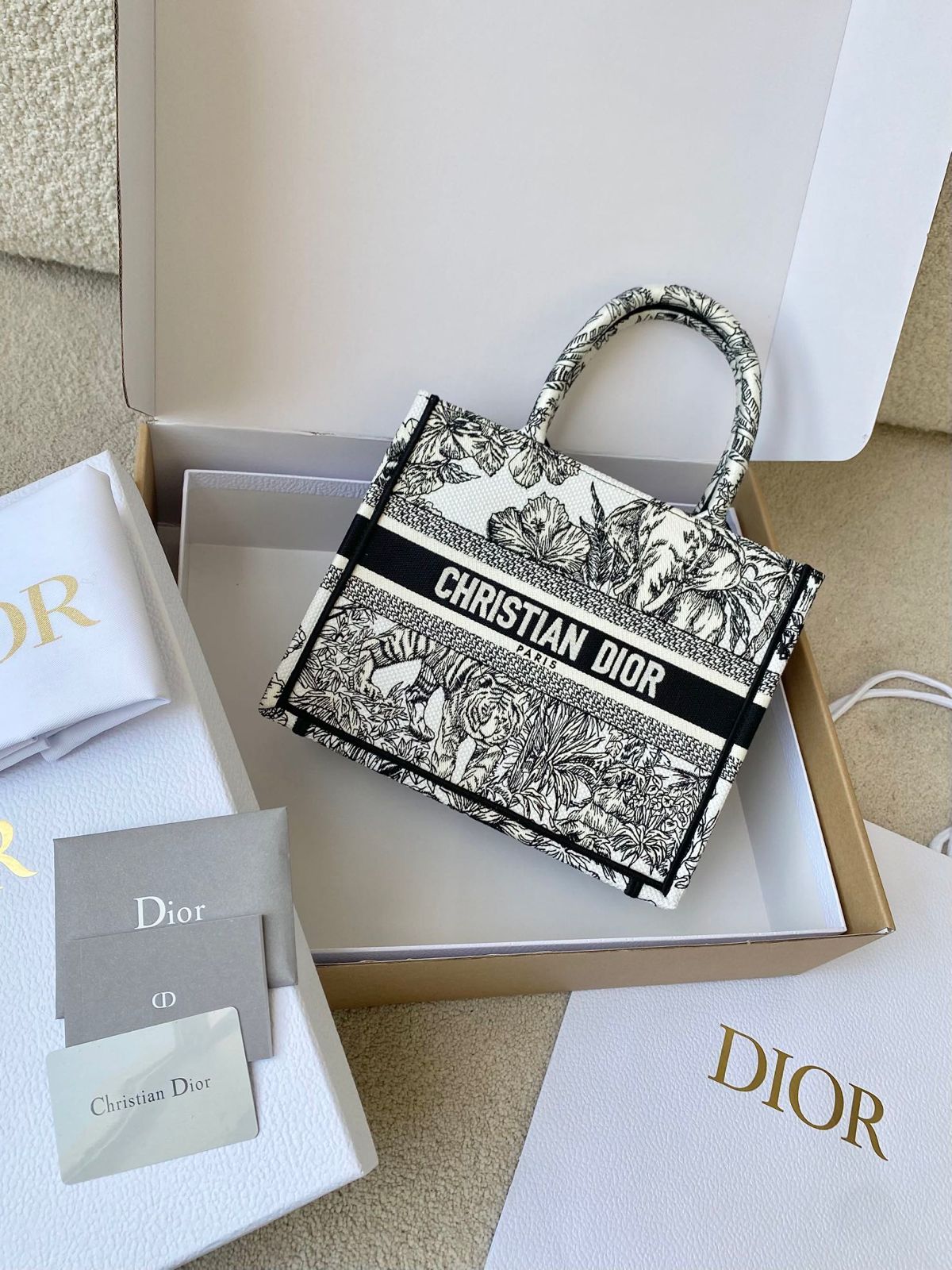 Christian Dior Book Tote In Medium