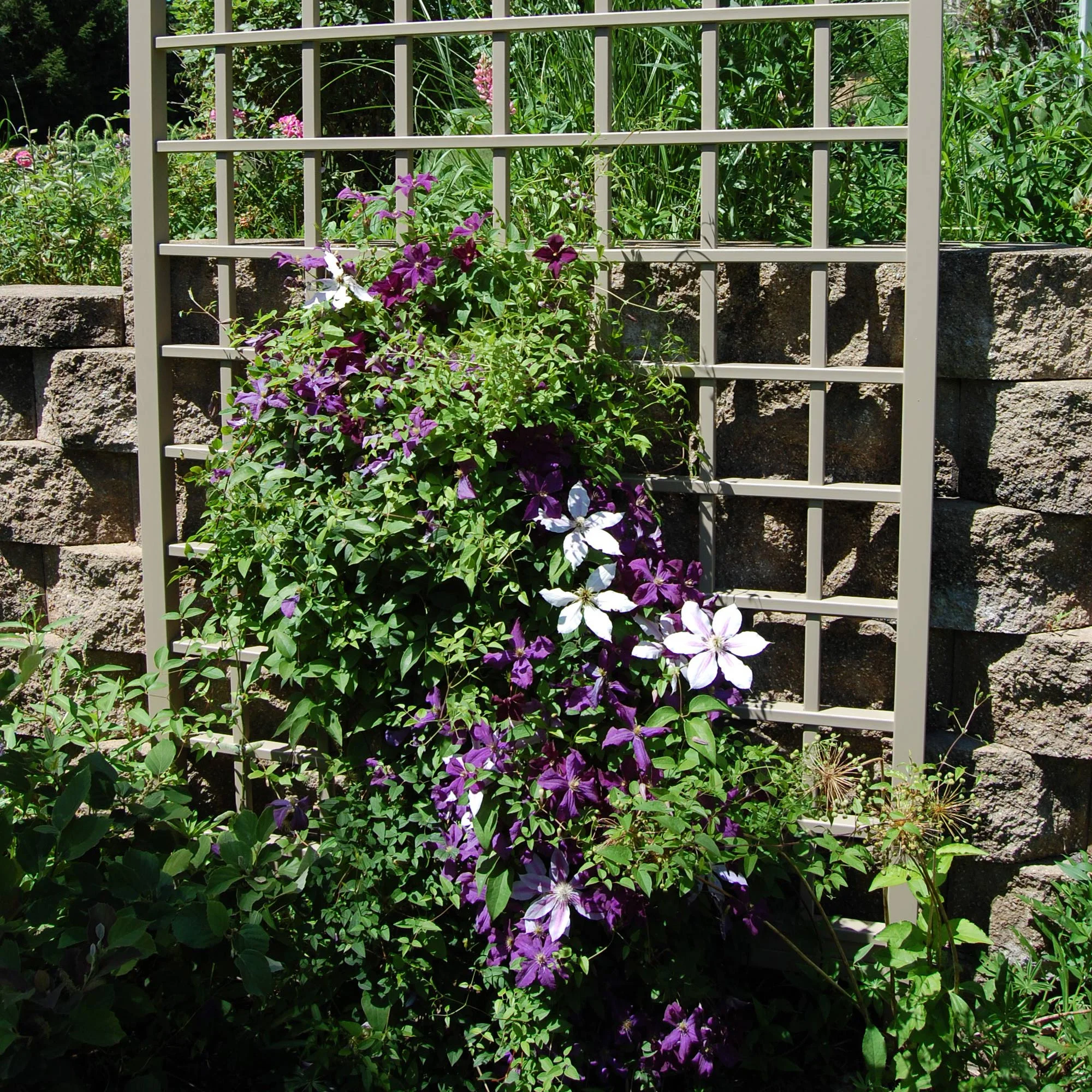 Dura-Trel Winchester 57 by 95 Inch Outdoor Garden Patio Trellis, Mocha - Image 5