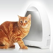 Safe around children and pets