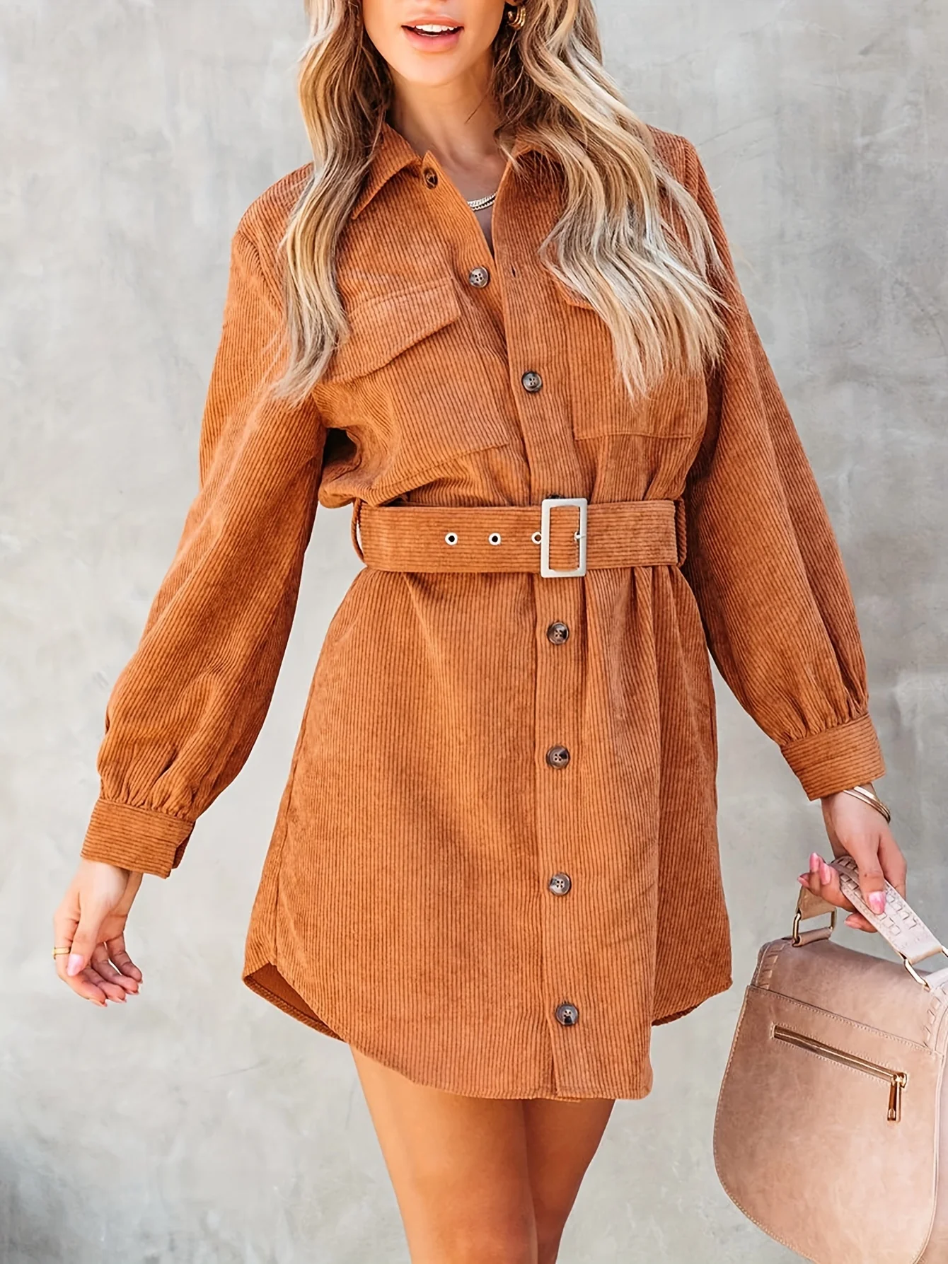 Women Spring Fall Solid Collared Daily Office Long Sleeve A Line Dress - AZJHJ