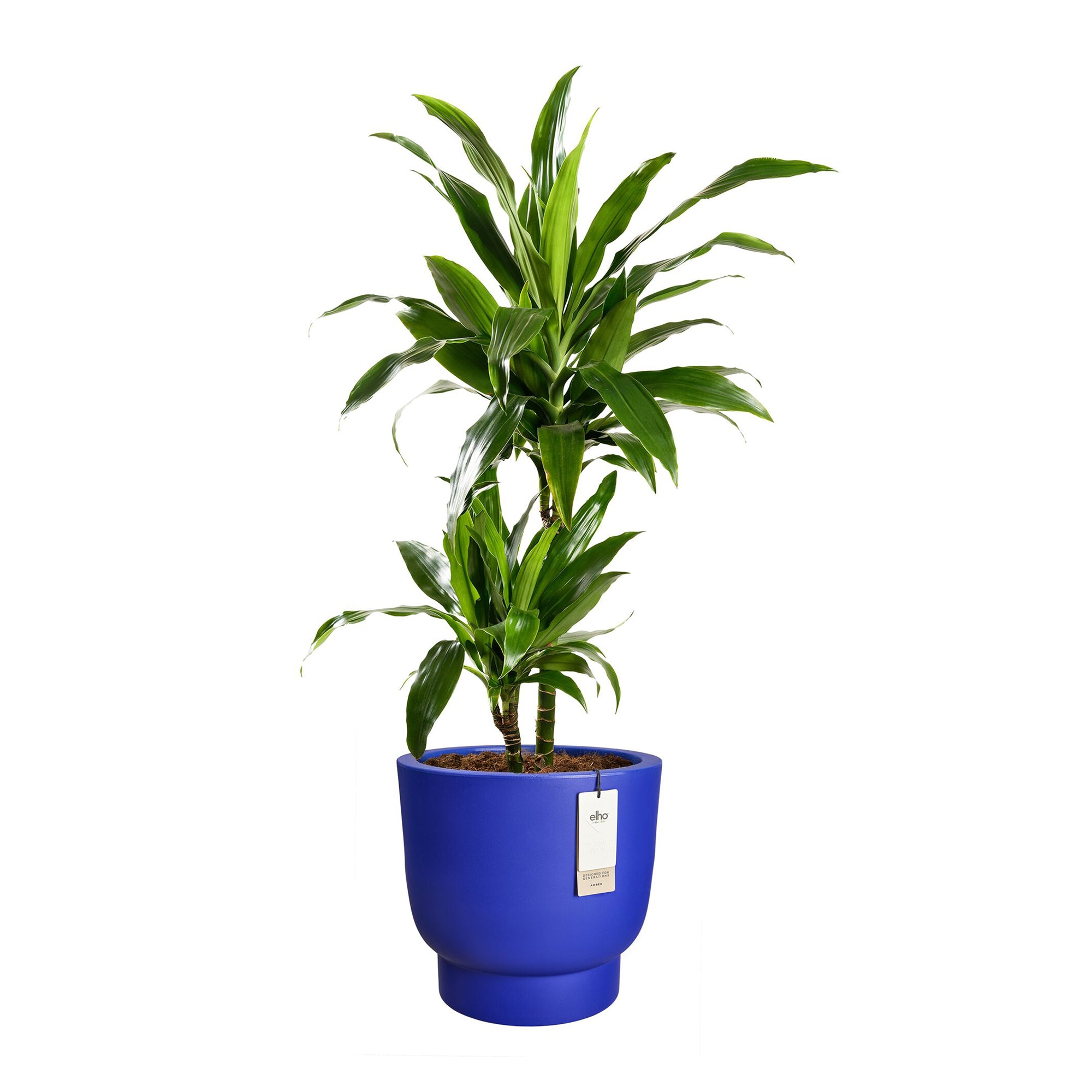 Elho Amber Grail 47 - Royal blue - Ø 47 x H 45 cm - Binnen en Buiten -