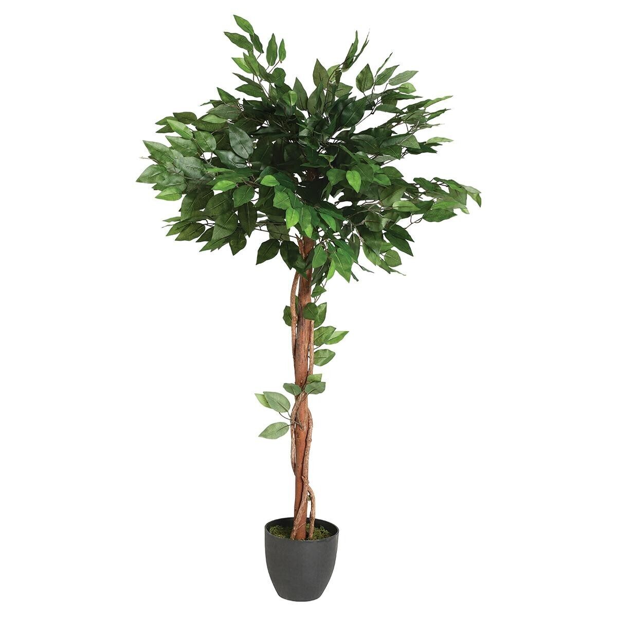 Artificial ficus Green, H.120 cm