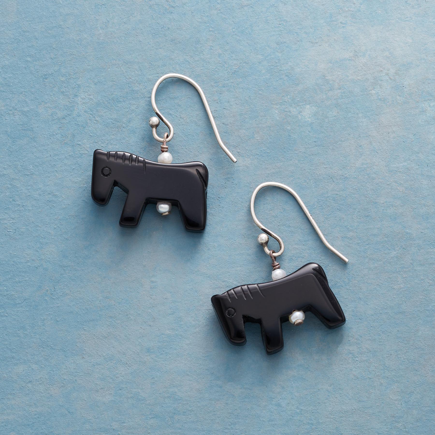 Black Mustang Earrings - Sundance Clothing
