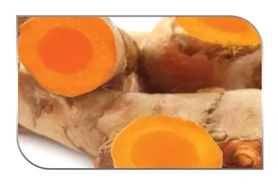 Supports a healthy inflammation response by reducing temporary inflammation associated with physical overexertion*