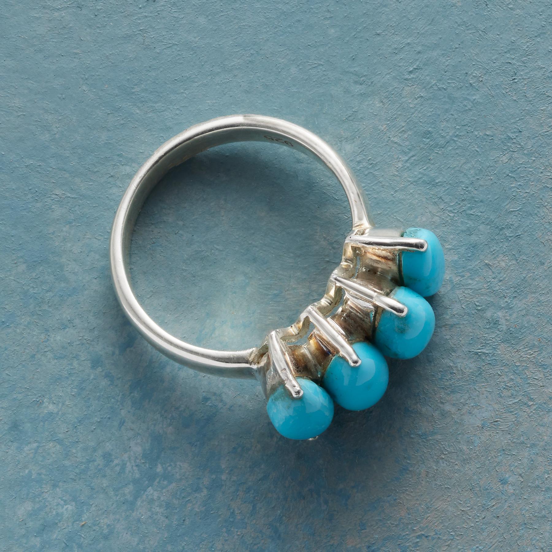 Turquoise Pod Ring - Sundance Clothing