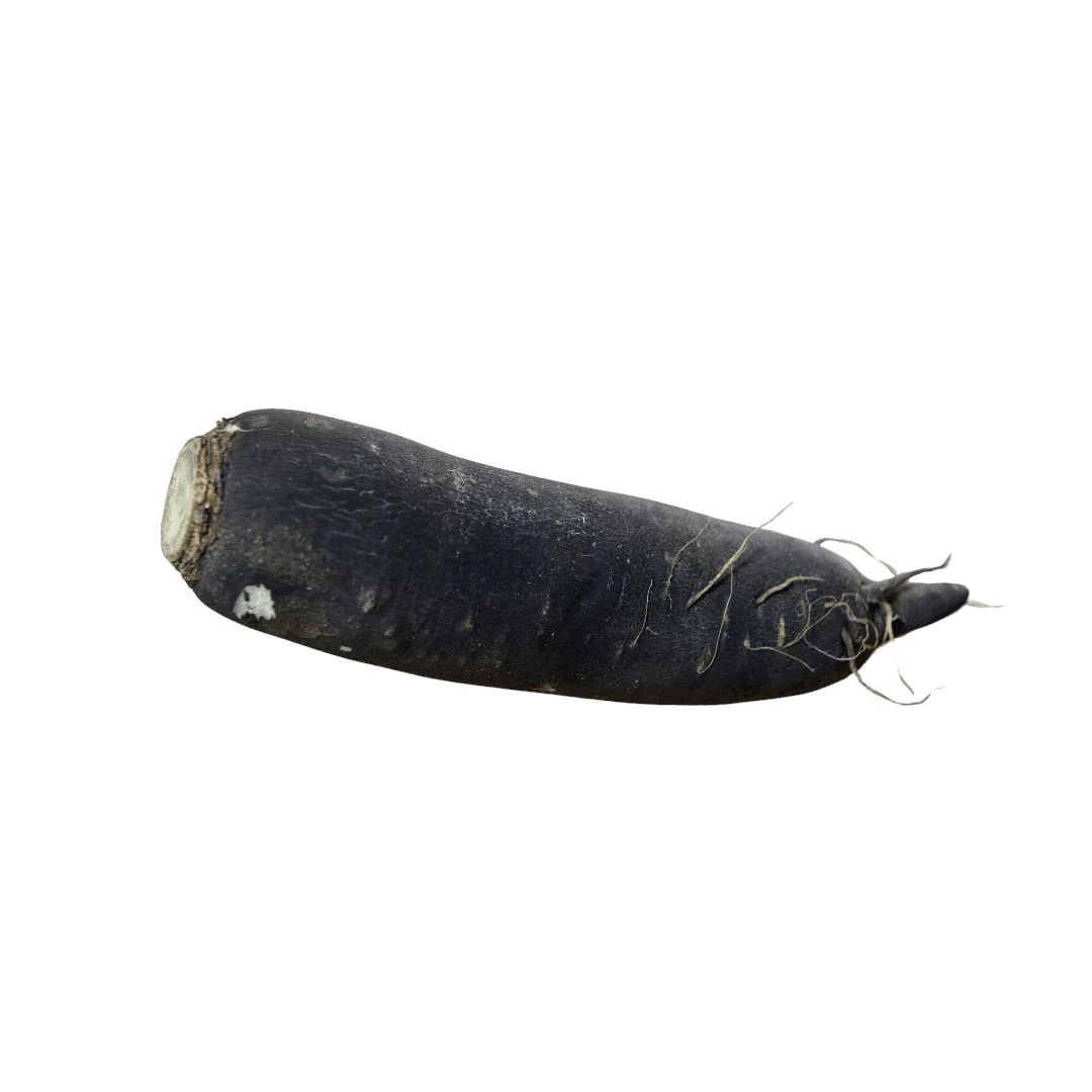 Radish Long Black – Spicy root vegetable with character
