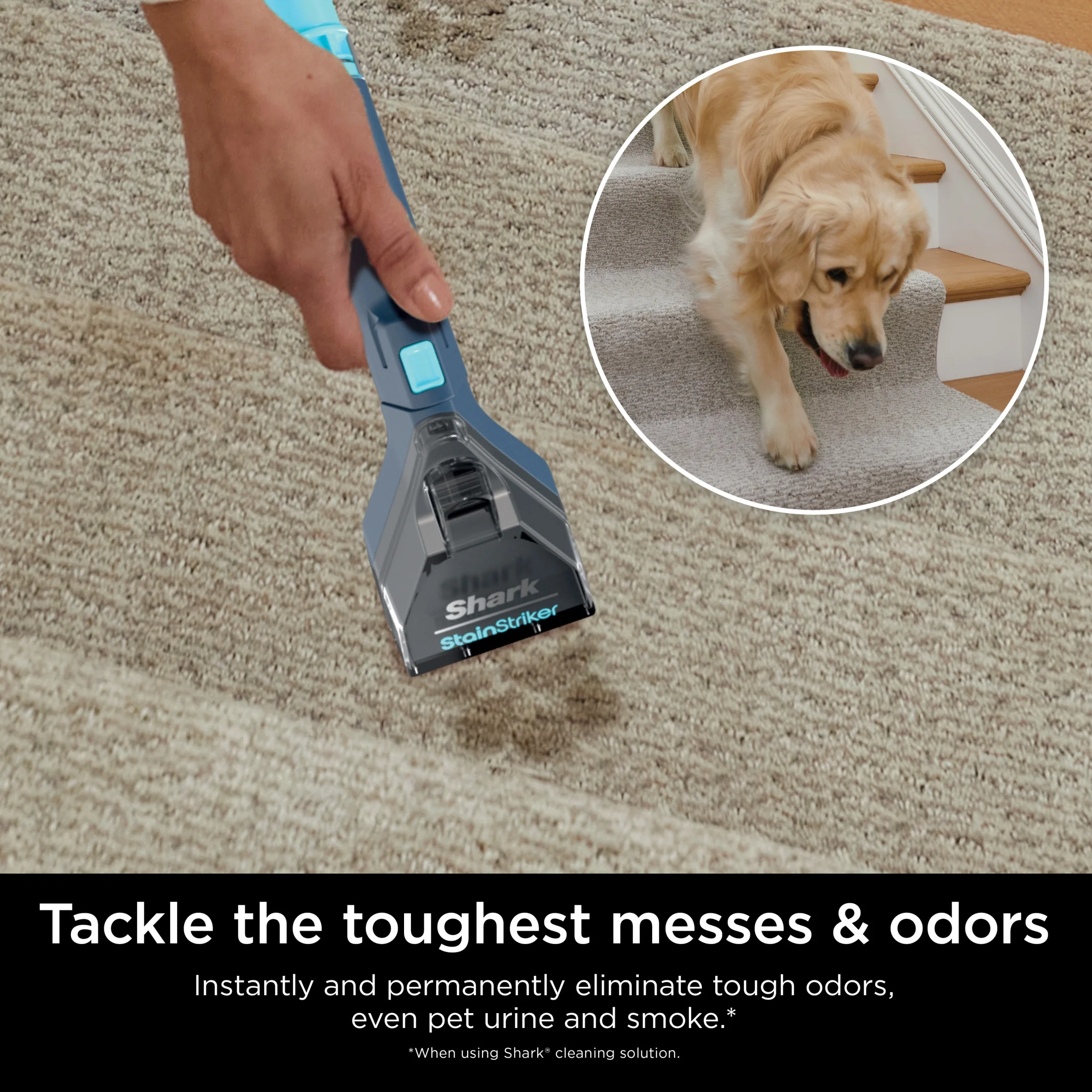 Shark StainStriker Carpet and Upholstery Cleaner, Portable with 2 Tools, 6oz Deep Clean Pro Formula and 12oz OXY Multiplier Formula, PX200 Navy/White - Image 6