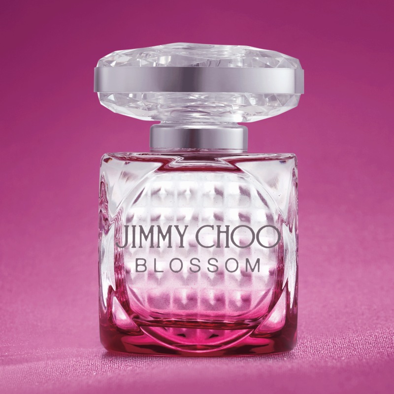 Jimmy Choo Blossom for Her - MIDNIGHT VELVET CATALOG